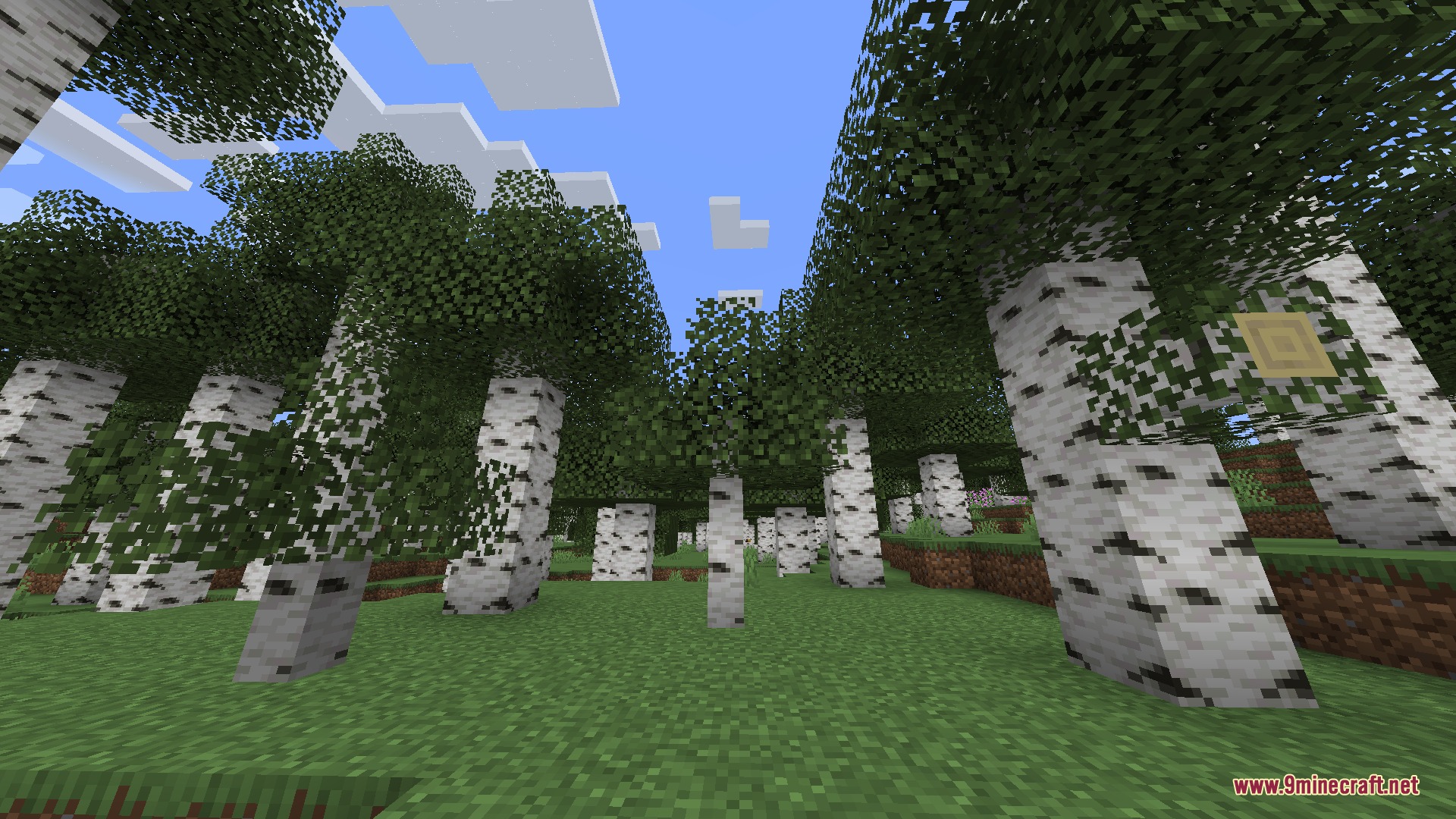 Artemis' Thin Logs Mod Screenshot 7 Skinny birch logs spawning naturally in a forest with Artemis Thin Logs Mod