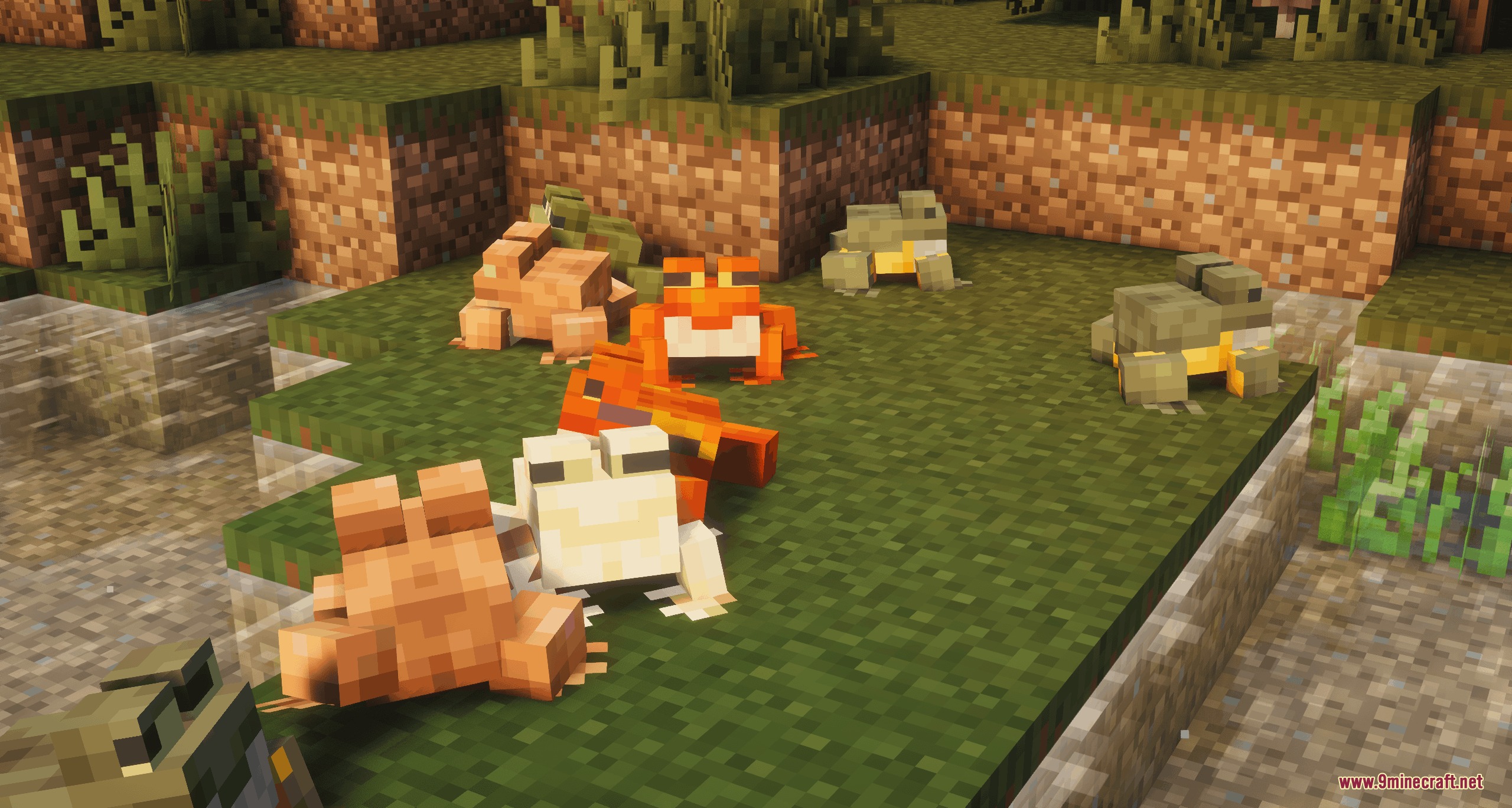 Assorted Frogs X Fresh Animations Resource Pack Screenshot 3 A group of colorful frogs sitting on a grassy bank in Minecraft