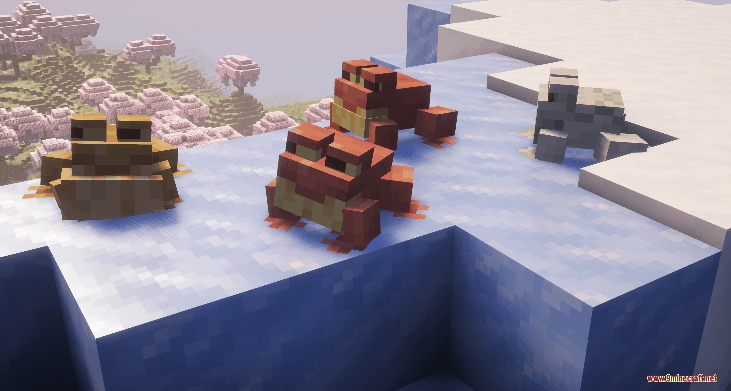 Assorted Frogs X Fresh Animations Resource Pack Screenshot 5 Four colorful frogs sitting on blue ice blocks near cherry blossom trees