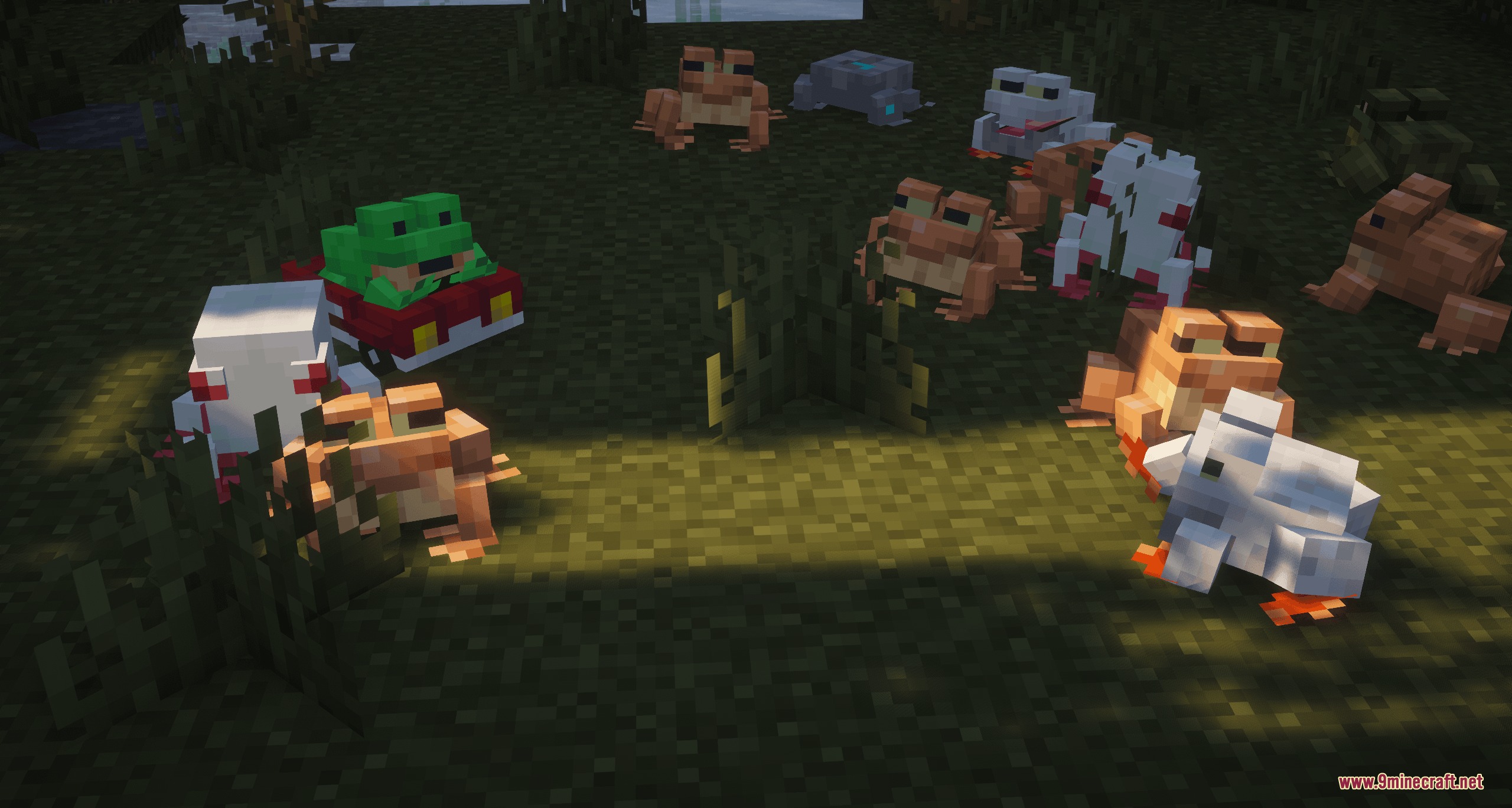 Assorted Frogs X Fresh Animations Resource Pack Screenshot 6 A large group of colorful frogs gathered together in a dark swamp