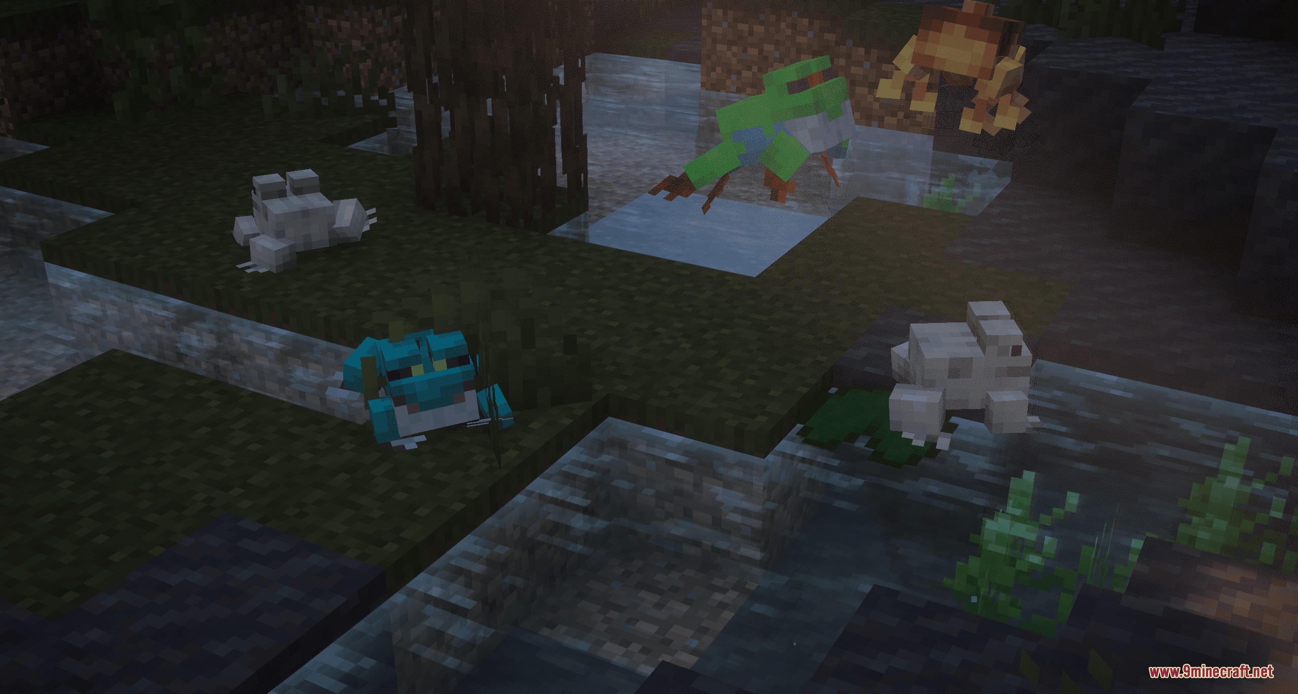 Assorted Frogs X Fresh Animations Resource Pack Screenshot 7 Several colorful frogs jumping and resting near a dark swamp water area