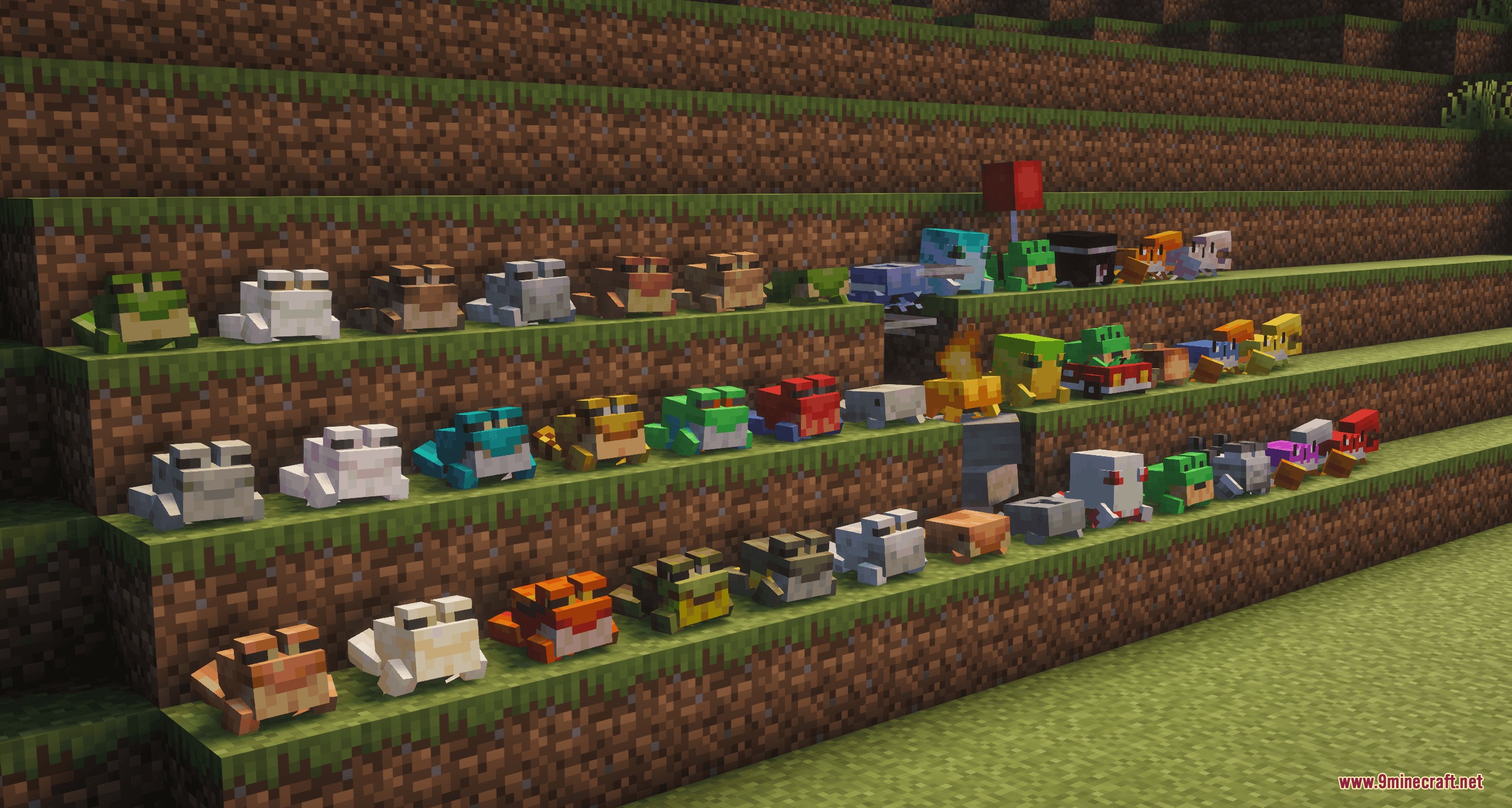 Assorted Frogs X Fresh Animations Resource Pack Screenshot 8 Many unique frog variants with different colors and patterns on grass steps