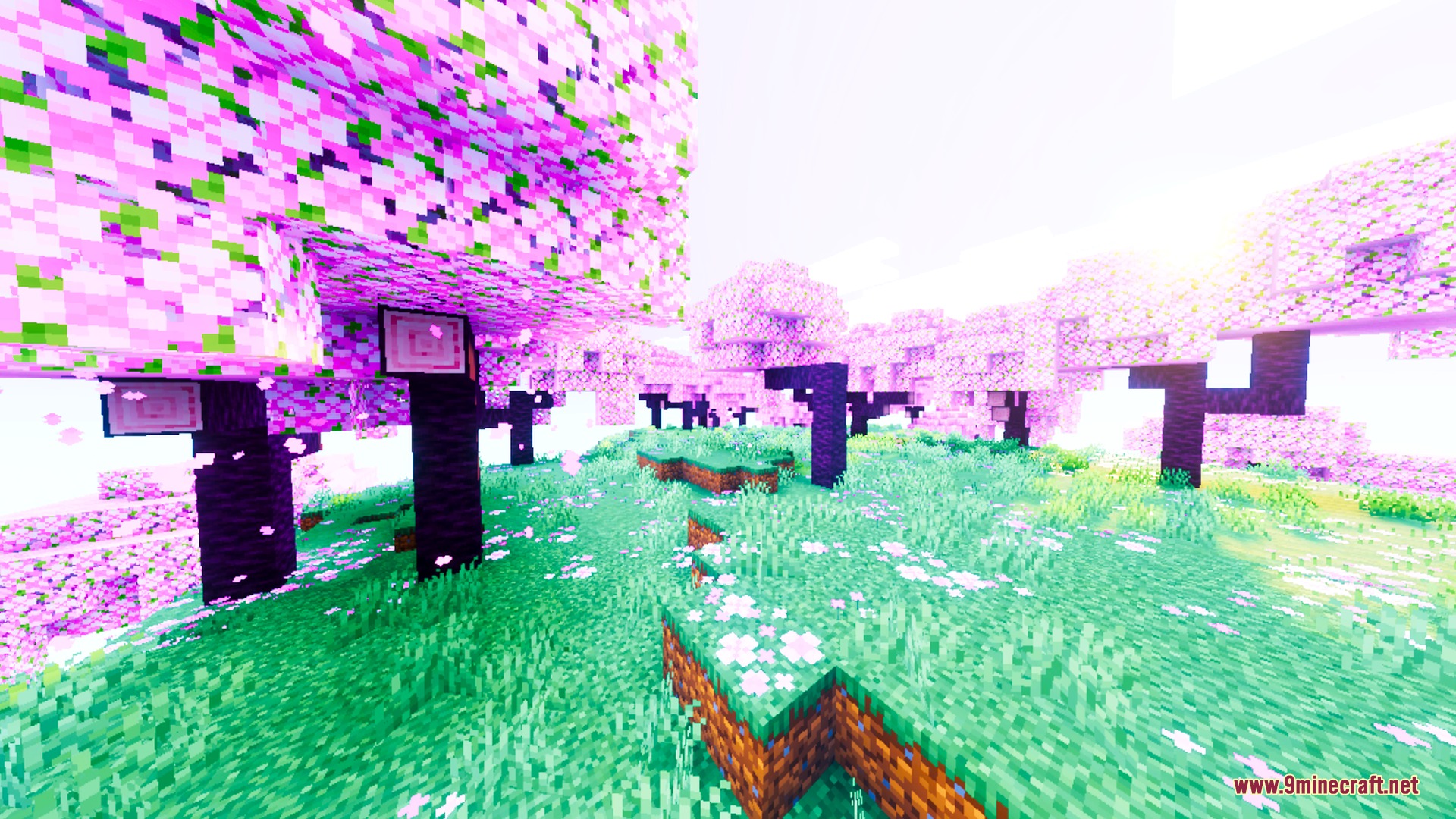 Auralis Shader Screenshot 6 Saturated pink cherry blossom trees in a grassy field with white flowers