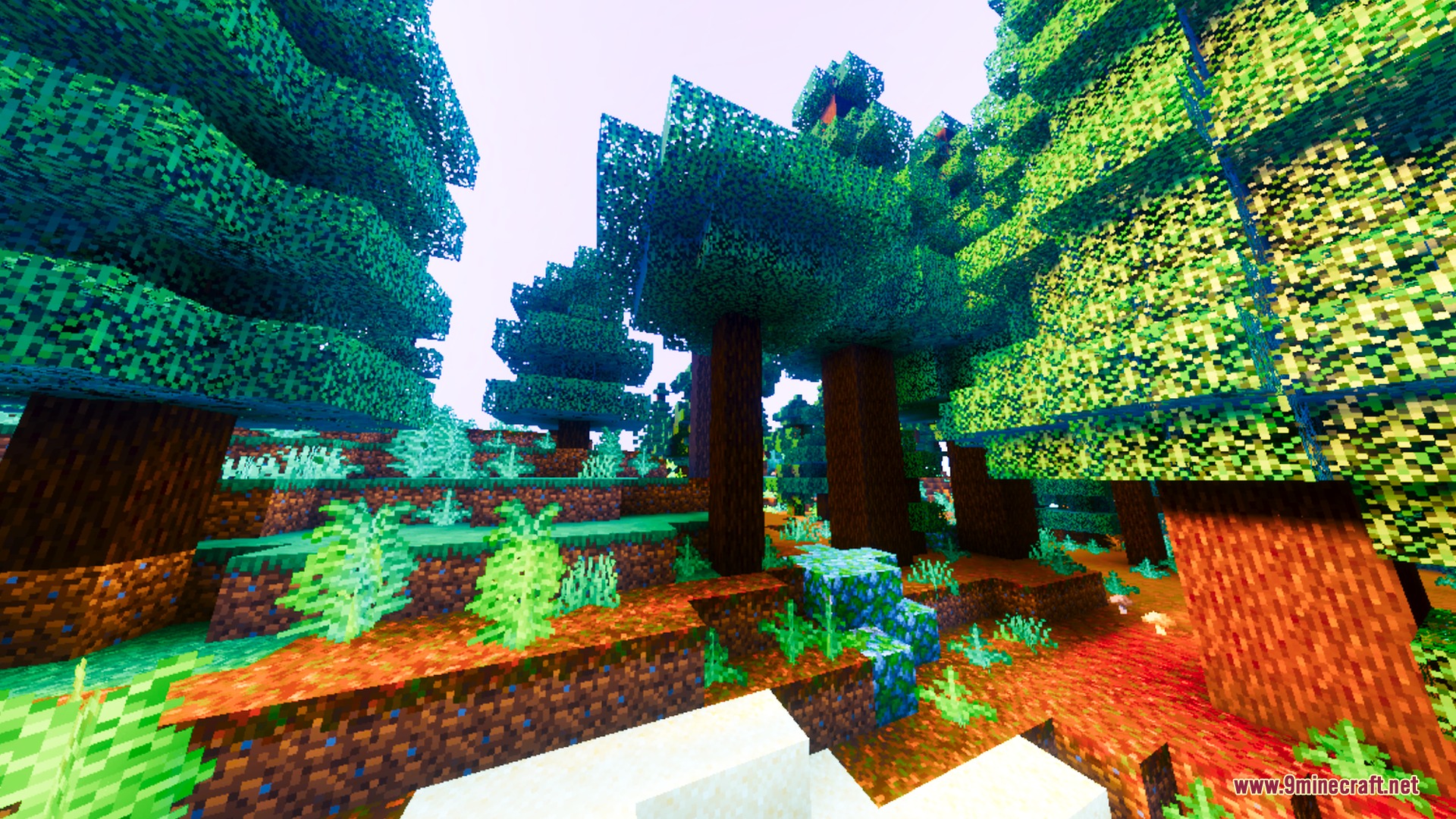 Auralis Shader Screenshot 8 A dense forest with warm lighting and saturated colors on the forest floor