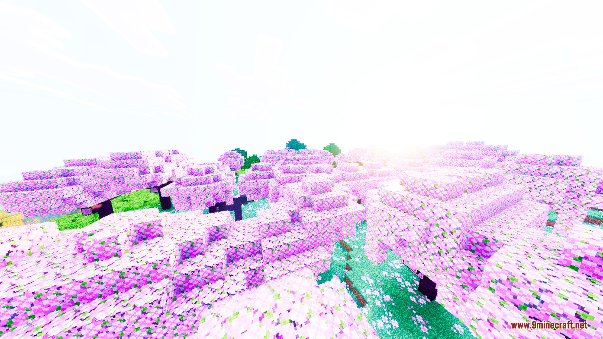 Auren Visuals Shader Screenshot 2 Dense cherry blossom grove featuring saturated pink leaves and warm sunlight