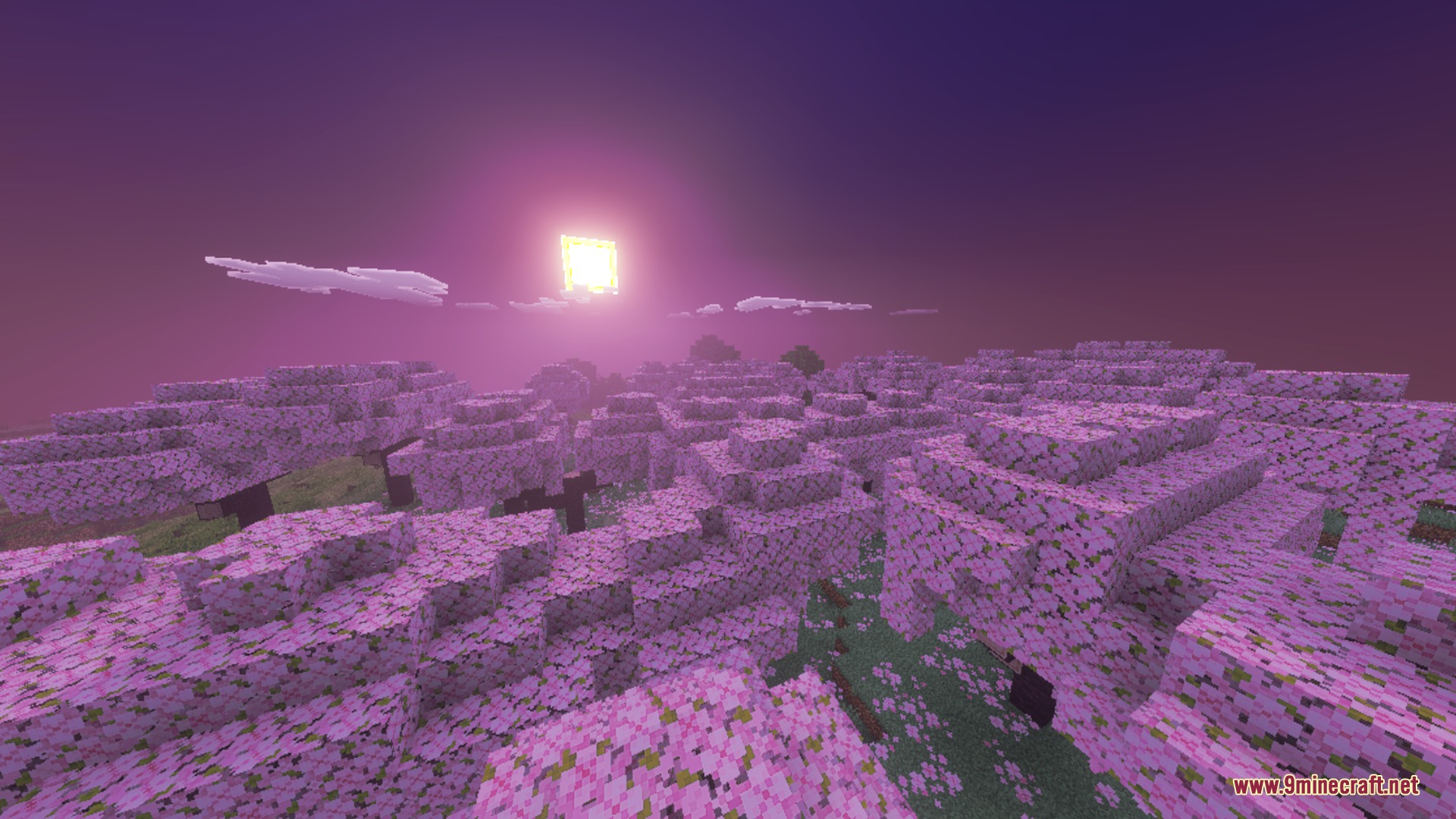 Aurora Visuals Shader Screenshot 2 Cherry blossom forest under a glowing sun and a dark purple sky