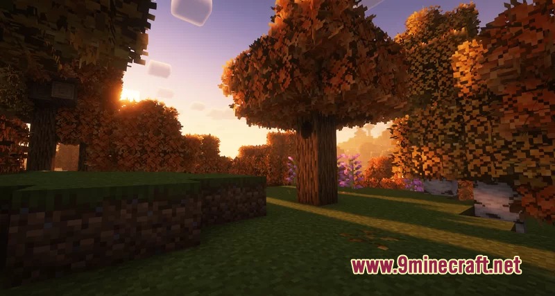 Autumn Fall Resource Pack Screenshot 3 Warm sunlight filters through orange autumn leaves in a peaceful Minecraft forest