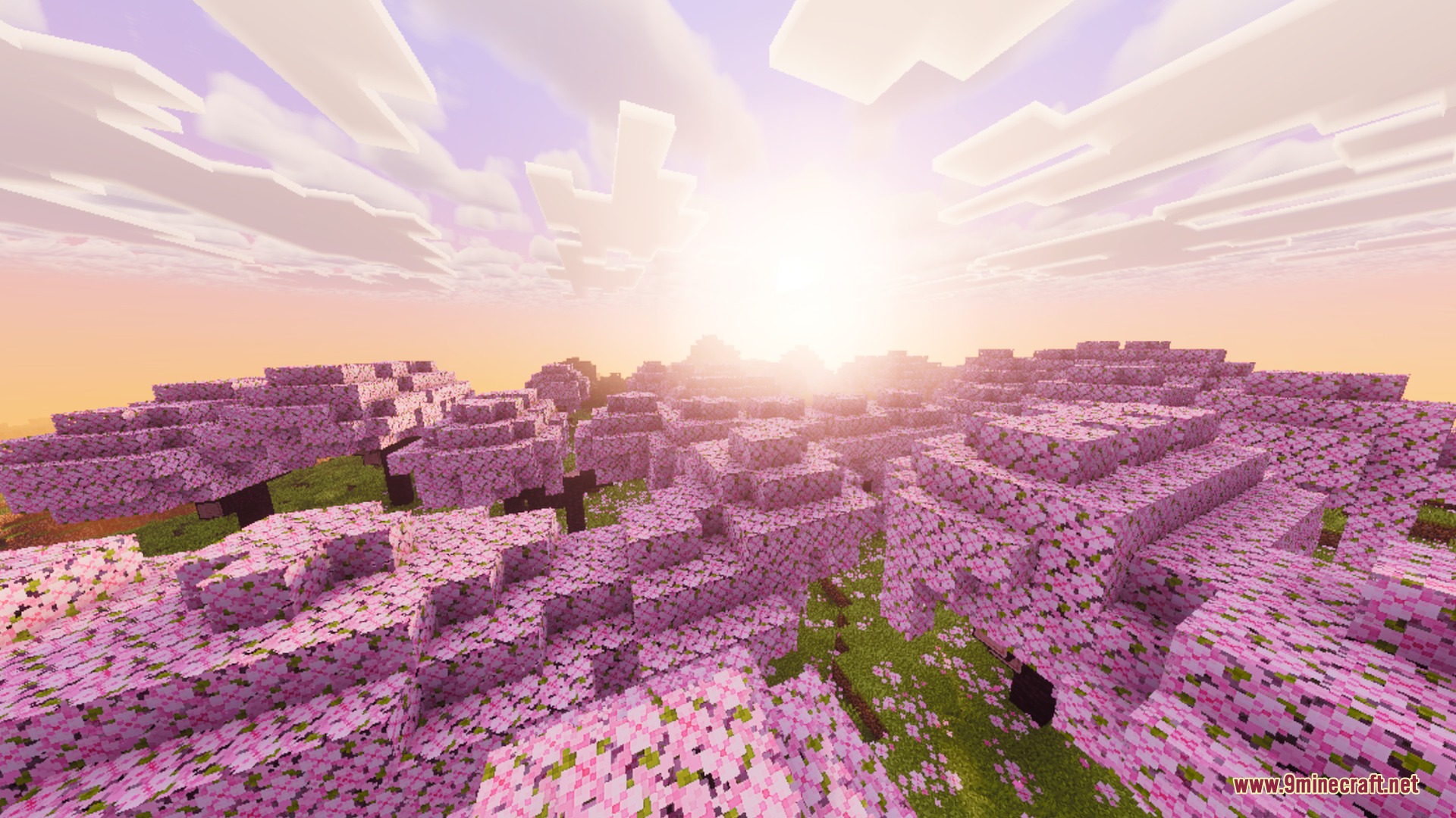 Cherry blossom forest with pink leaves under a bright sun and volumetric god rays