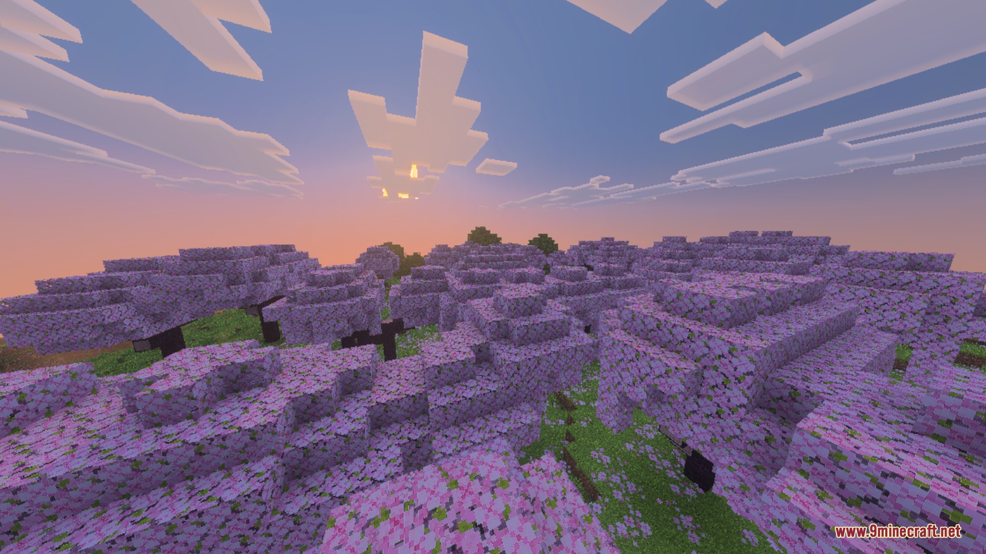 Bare Bones Simple PBR Bedrock Port Shader Screenshot 2 Cherry blossom trees with simple textures under a colorful sunset sky