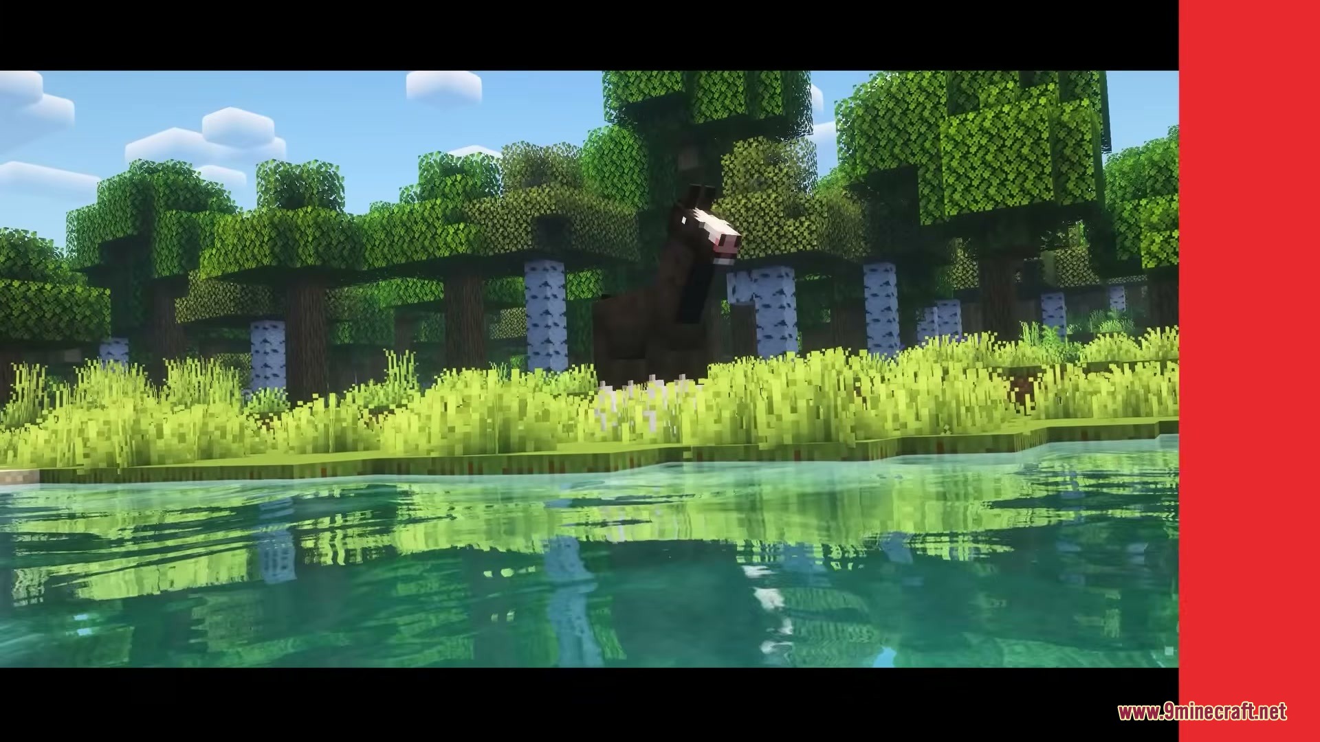 A large Clydesdale horse standing near a lake in a forest biome