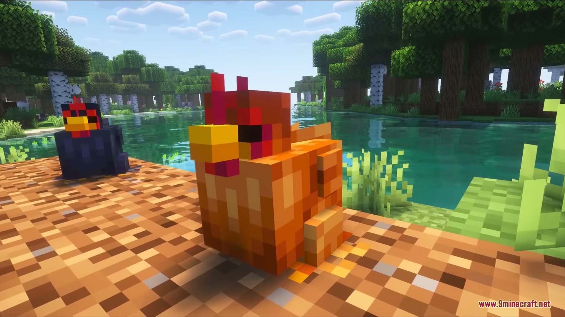 Two colorful chickens standing on a dirt path near a scenic river