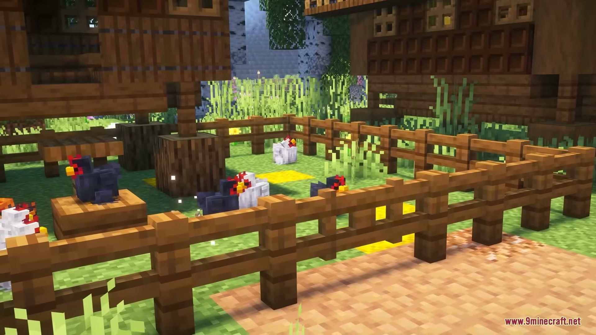 Several chickens of different colors inside a wooden fence at a farm