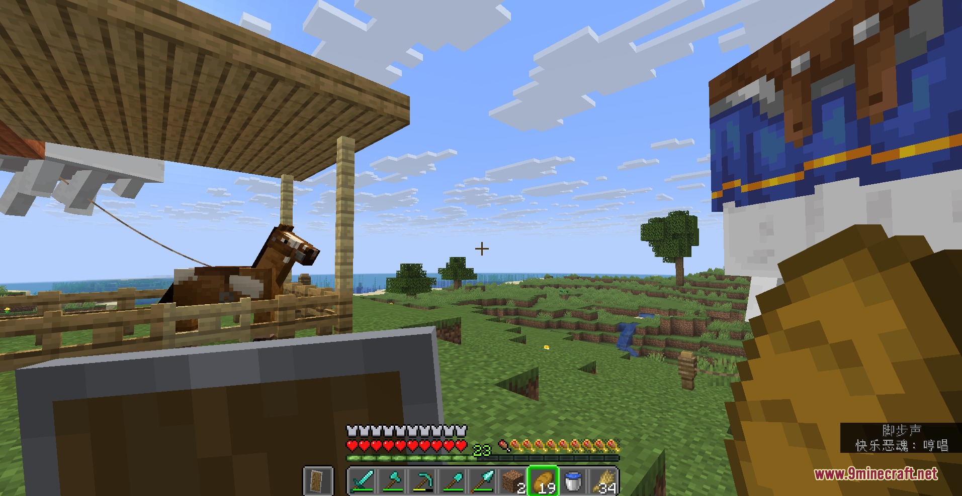 Player holding bread while looking at a horse in a wooden pen