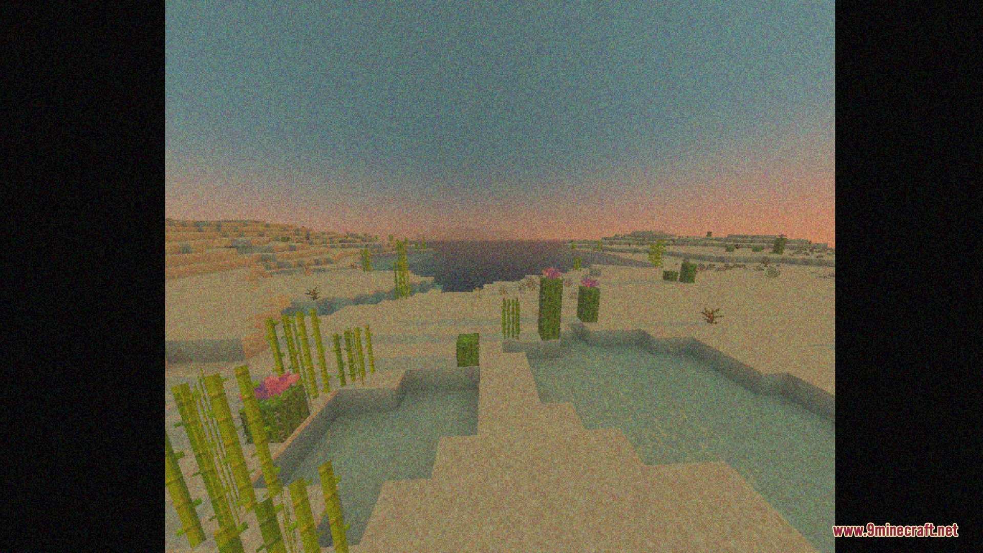 A desert biome with sugarcane and cacti using a retro VHS filter
