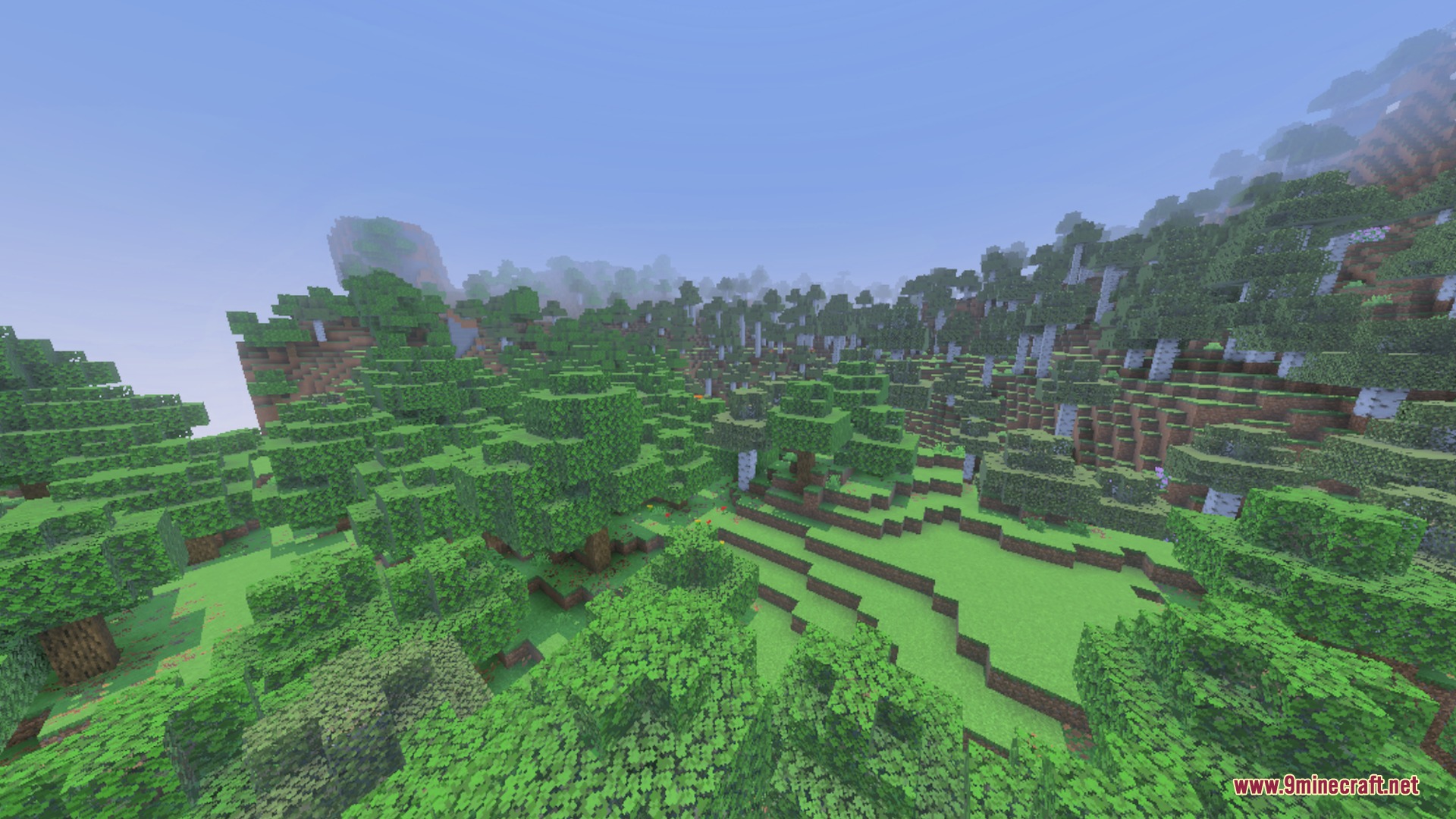 Better 3D Armors Shader Screenshot 6 Dense forest biome with green oak and birch trees on rolling hills