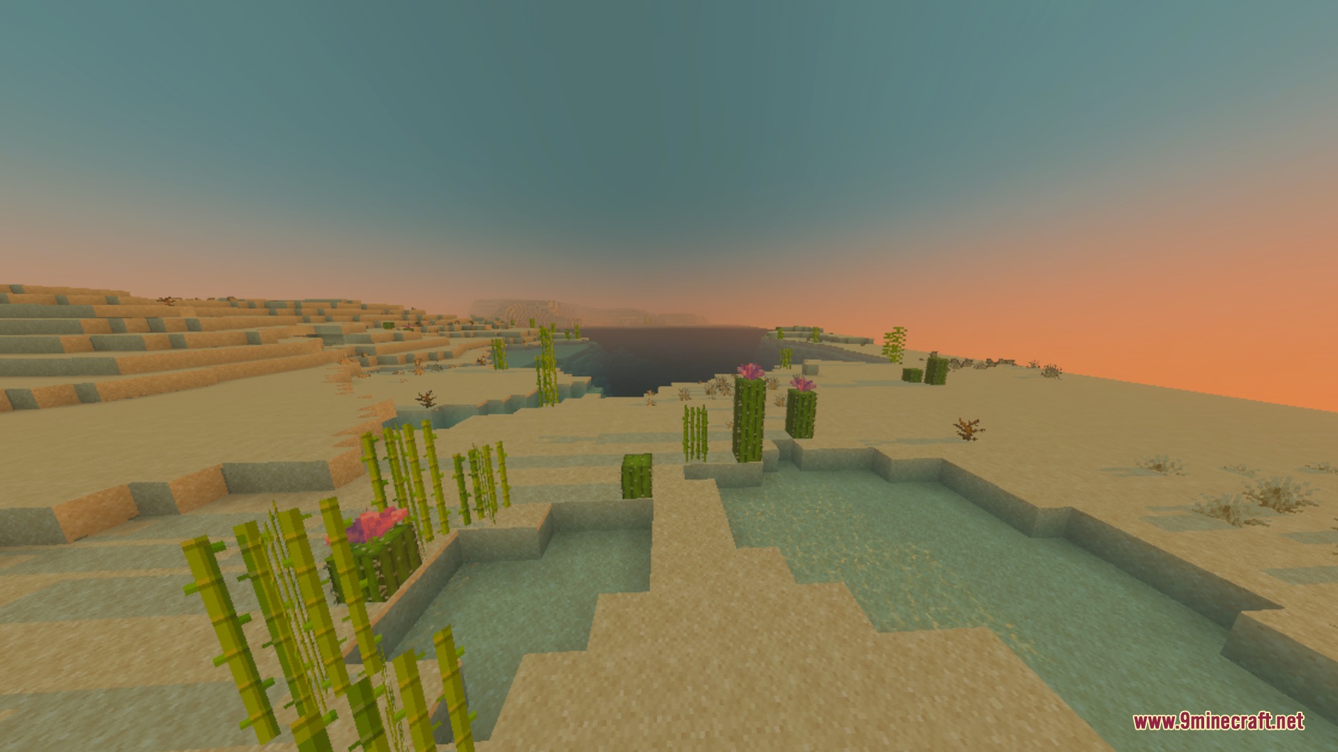 Better 3D Armors Shader Screenshot 8 Sugar cane and cacti growing near water in a desert during sunset