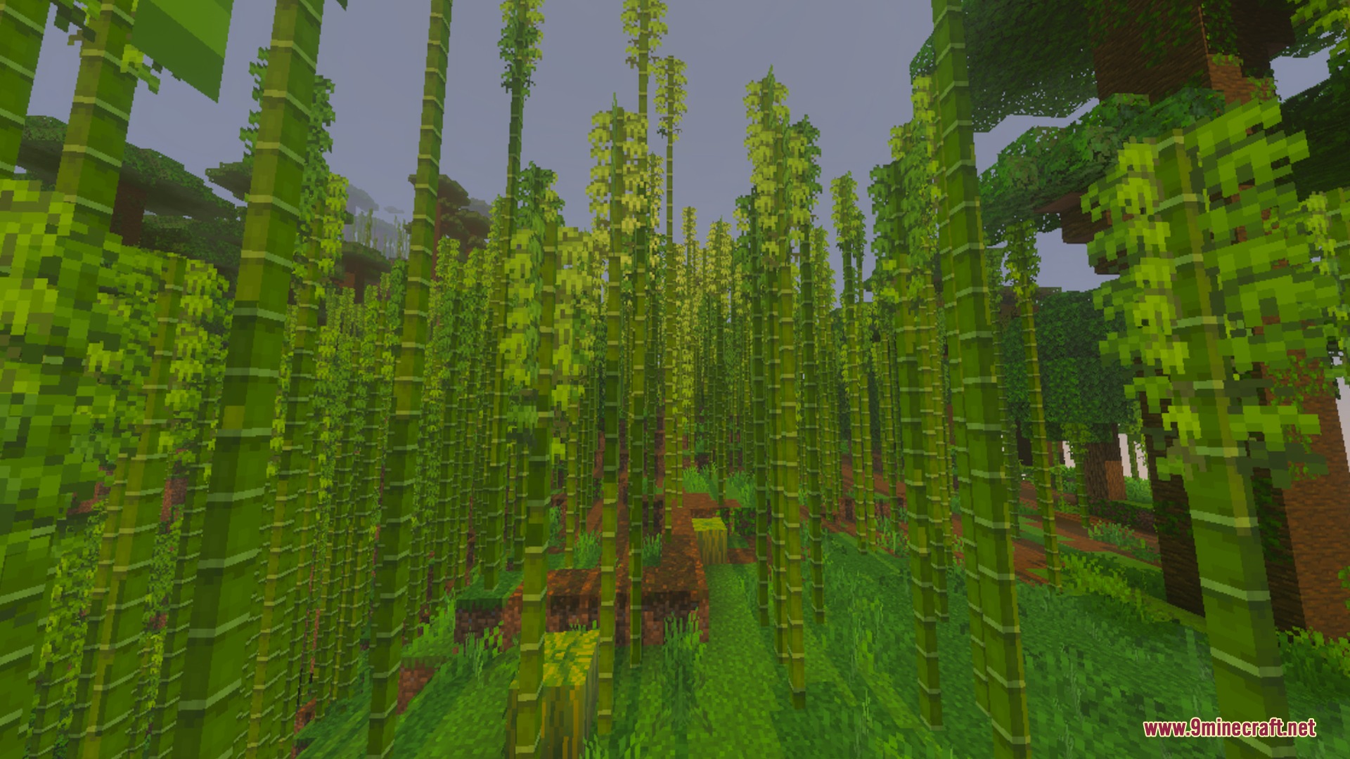 Better 3D Armors Shader Screenshot 9 A dense bamboo jungle biome with tall green stalks and lush vegetation