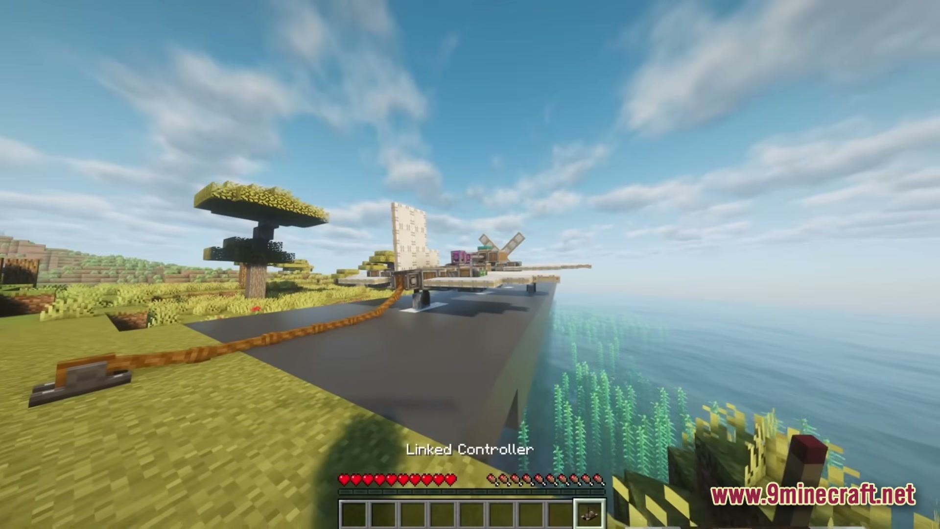 A custom-built aircraft sits on a runway overlooking the ocean in a savanna biome