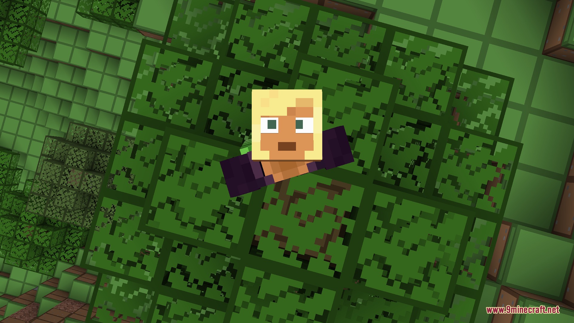 Better Expressions Resource Pack Screenshot 7 A Minecraft character with expressive blinking eyes looking up at green tree leaves