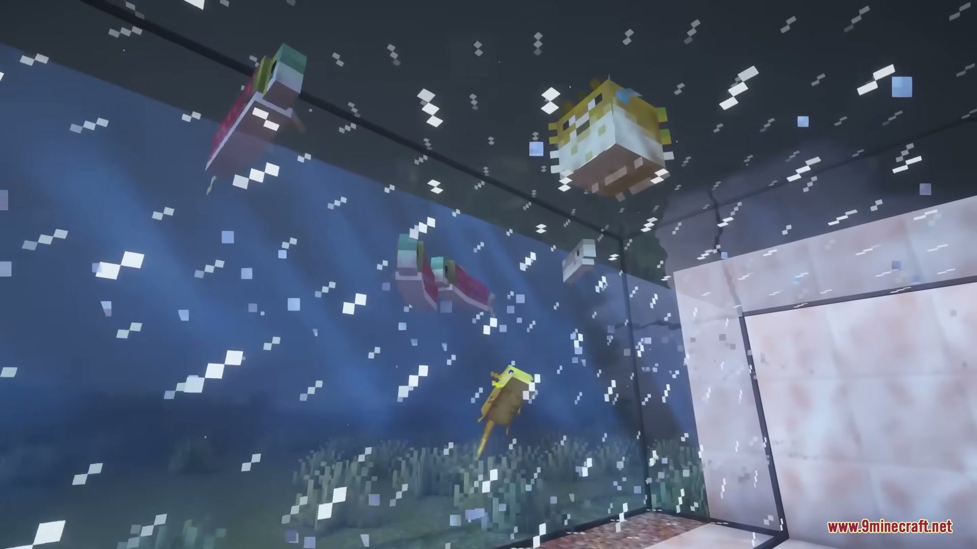 Better Fishtanks Mod Screenshot 4 Various fish and an axolotl swimming inside a large glass aquarium tank