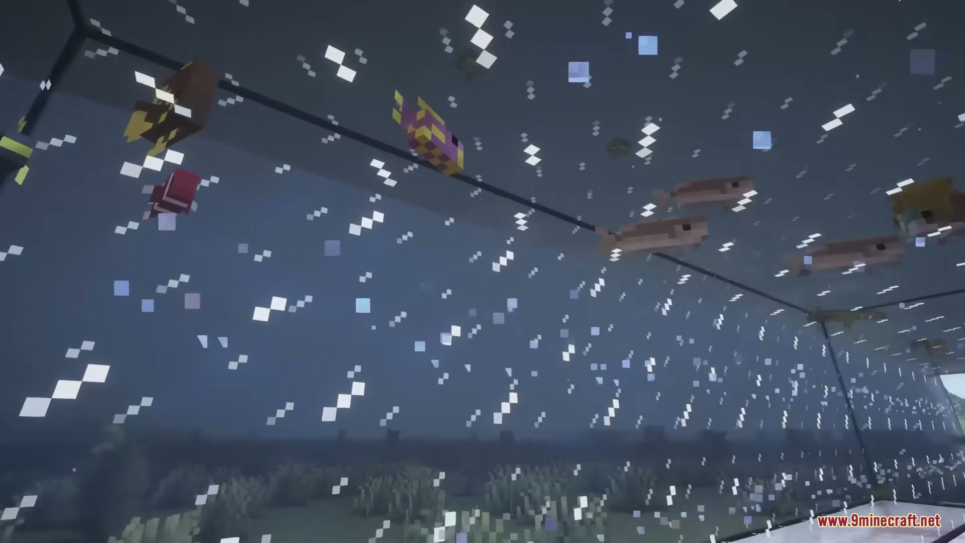 Better Fishtanks Mod Screenshot 5 Several fish swimming in a large aquarium with connected glass blocks