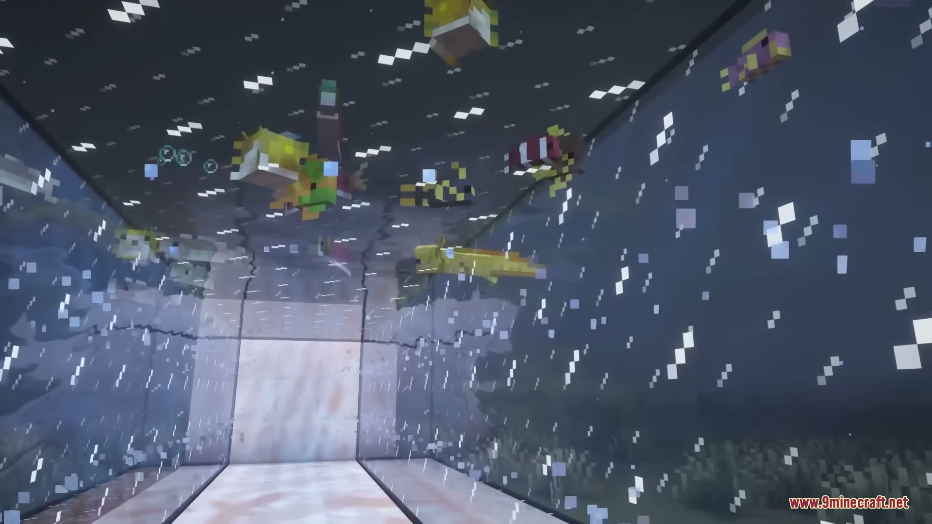 Better Fishtanks Mod Screenshot 6 Pufferfish and tropical fish swimming inside a custom built glass tank