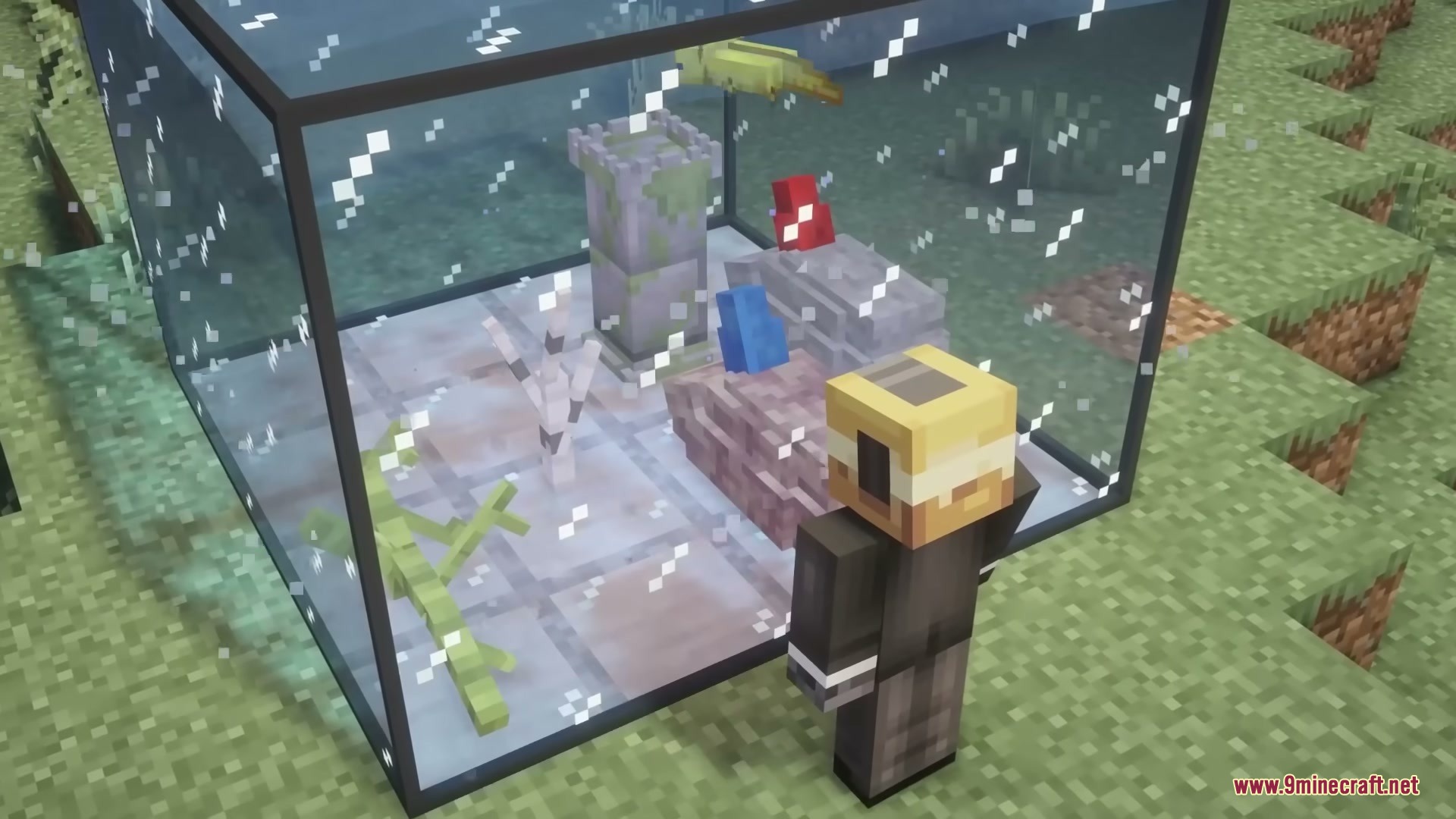 Better Fishtanks Mod Screenshot 7 A player looking into a large glass fish tank containing a yellow axolotl