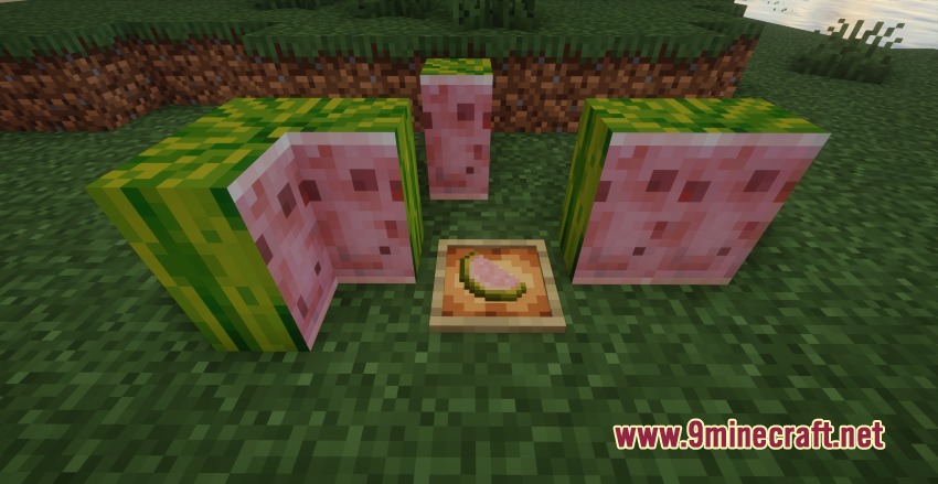 Better Melon Mod Screenshot 4 Partially eaten pink melon blocks and a slice in an item frame