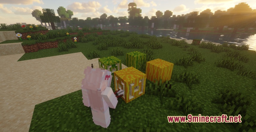 Better Melon Mod Screenshot 8 A player uses shears to carve a yellow melon block in a field