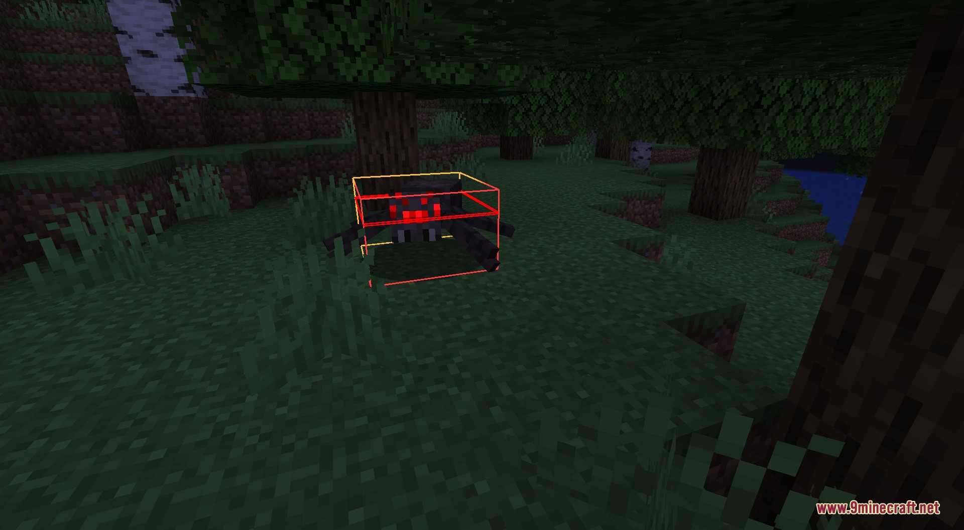 Better Rainbow Outlines Resource Pack Screenshot 1 A spider mob with a rainbow hitbox outline in a dark forest