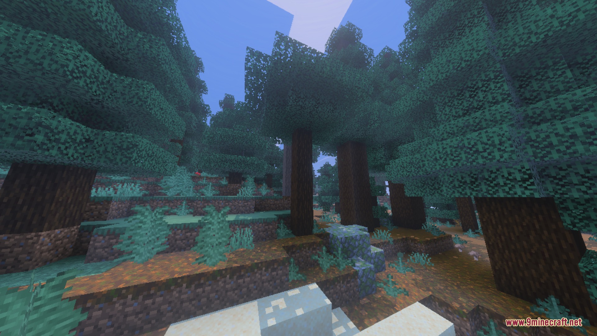 Better Waving Leaves Shader Screenshot 6 Dense spruce forest with dark green leaves swaying gently in the wind