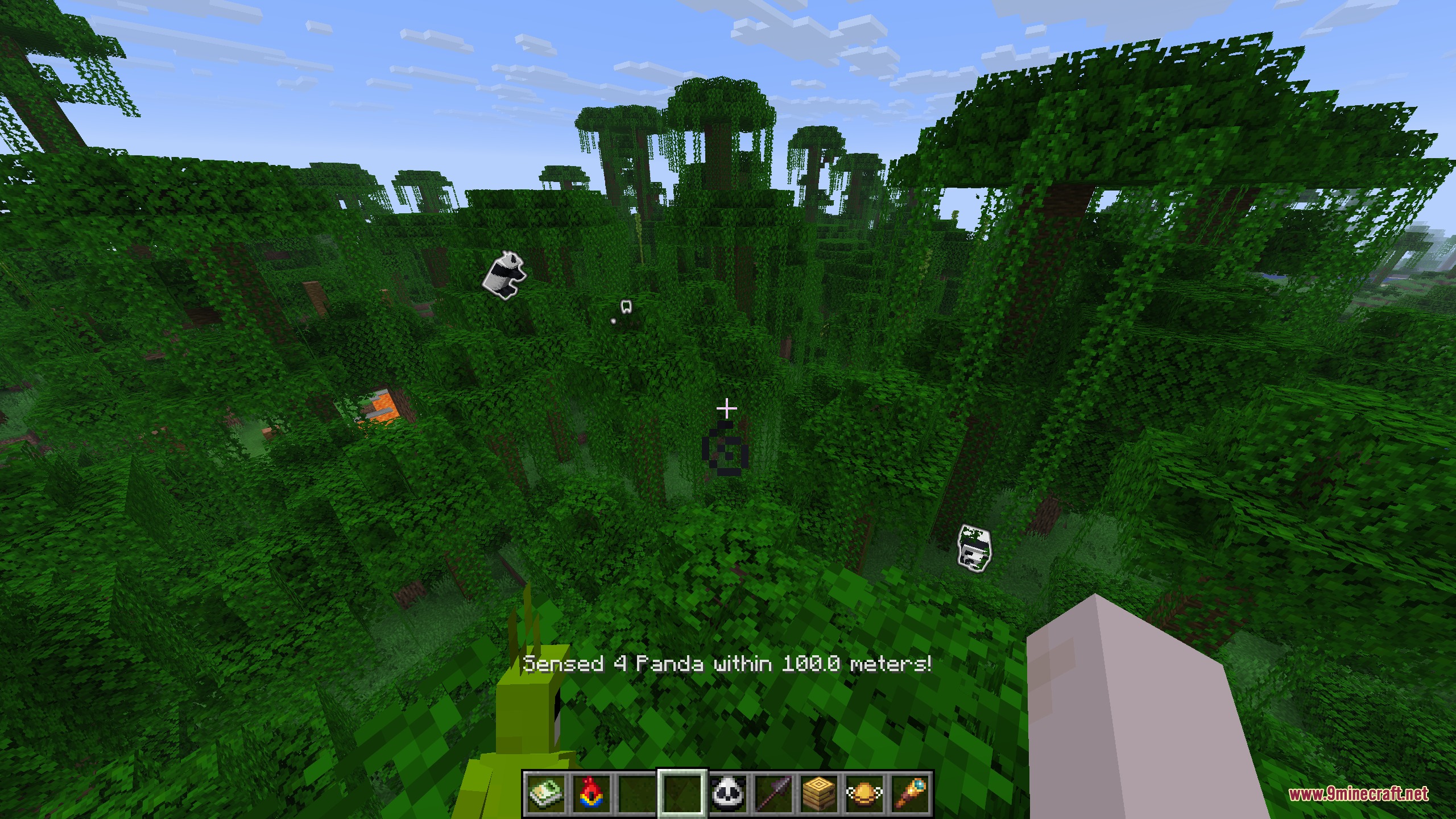 Biology Dictionary Mod Screenshot 7 Biology Dictionary Mod senses nearby pandas and highlights them in a dense jungle