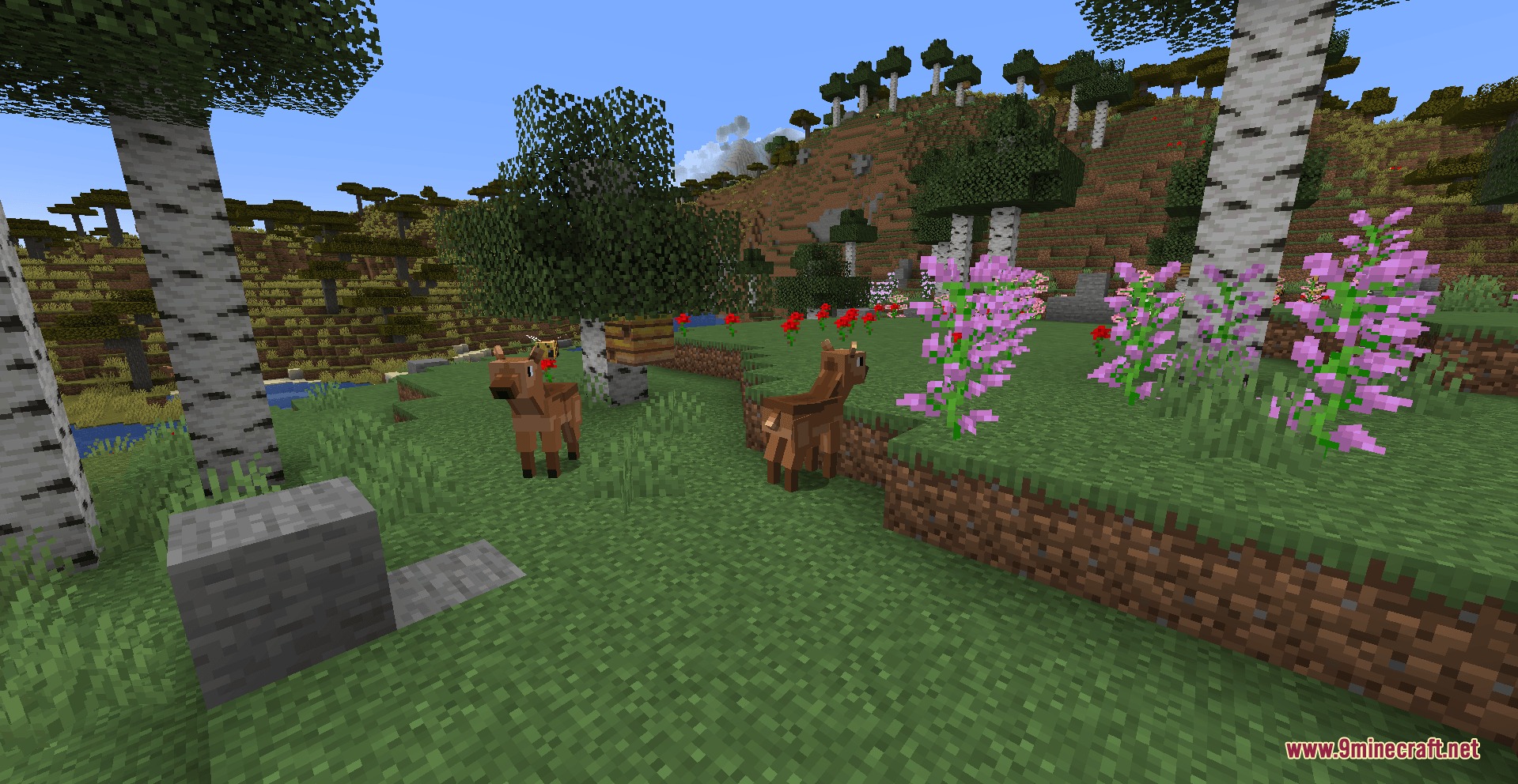 Biome Plus Mod (26.1.2, 1.20.1) – Roam Scenic Cherry Groves and Ancient — screenshot 2