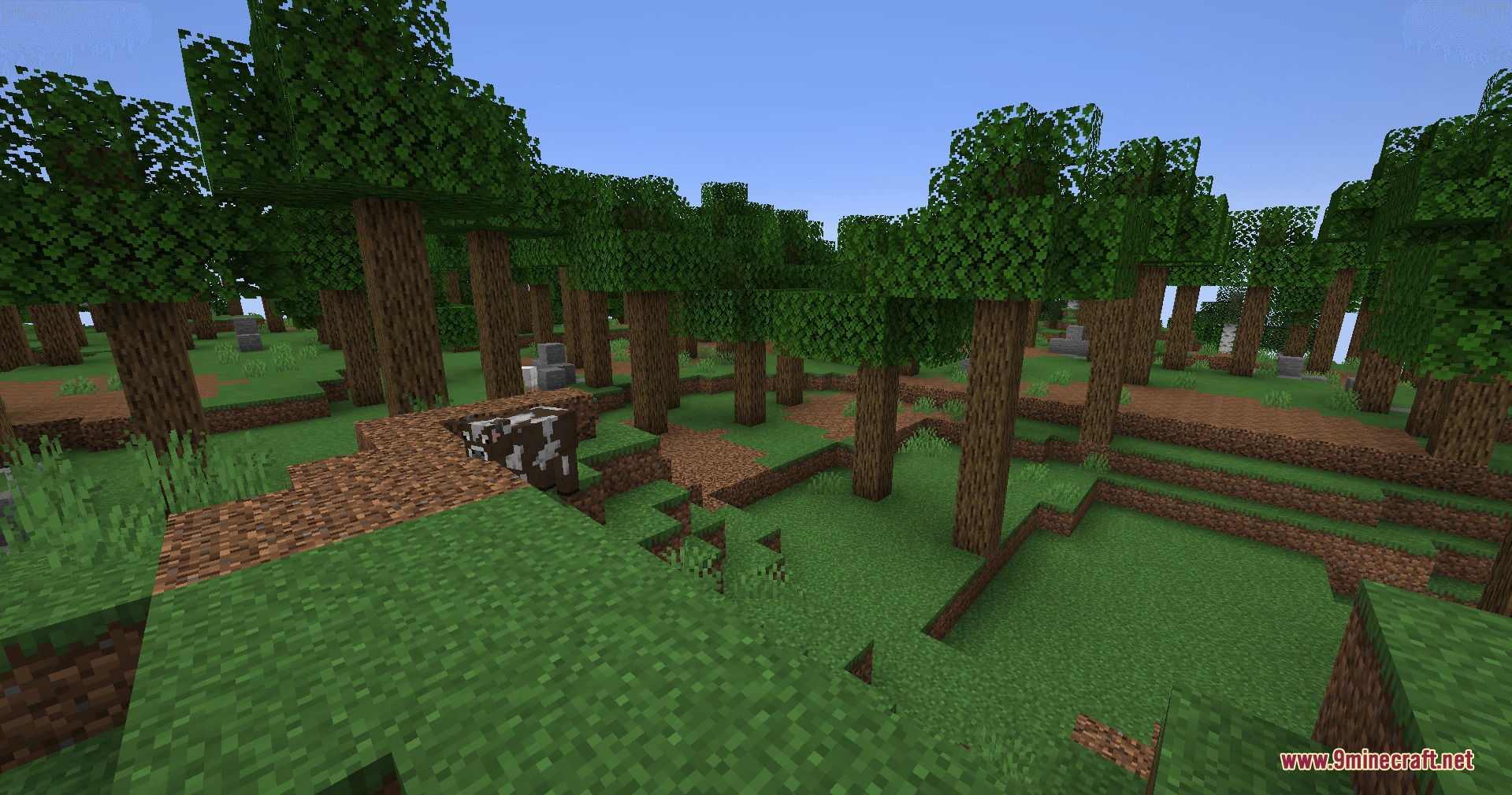 Biome Plus Mod (26.1.2, 1.20.1) – Roam Scenic Cherry Groves and Ancient — screenshot 5