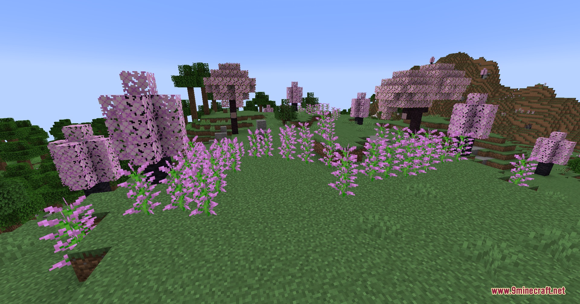 Biome Plus Mod (26.1.2, 1.20.1) – Roam Scenic Cherry Groves and Ancient — screenshot 8