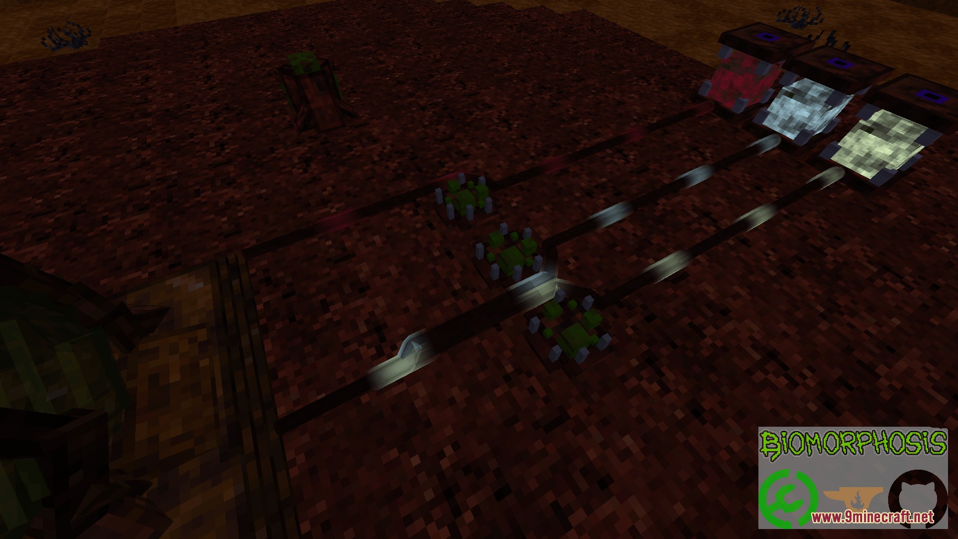 Living organic machinery and fluid transfer pipes on a fleshy ground