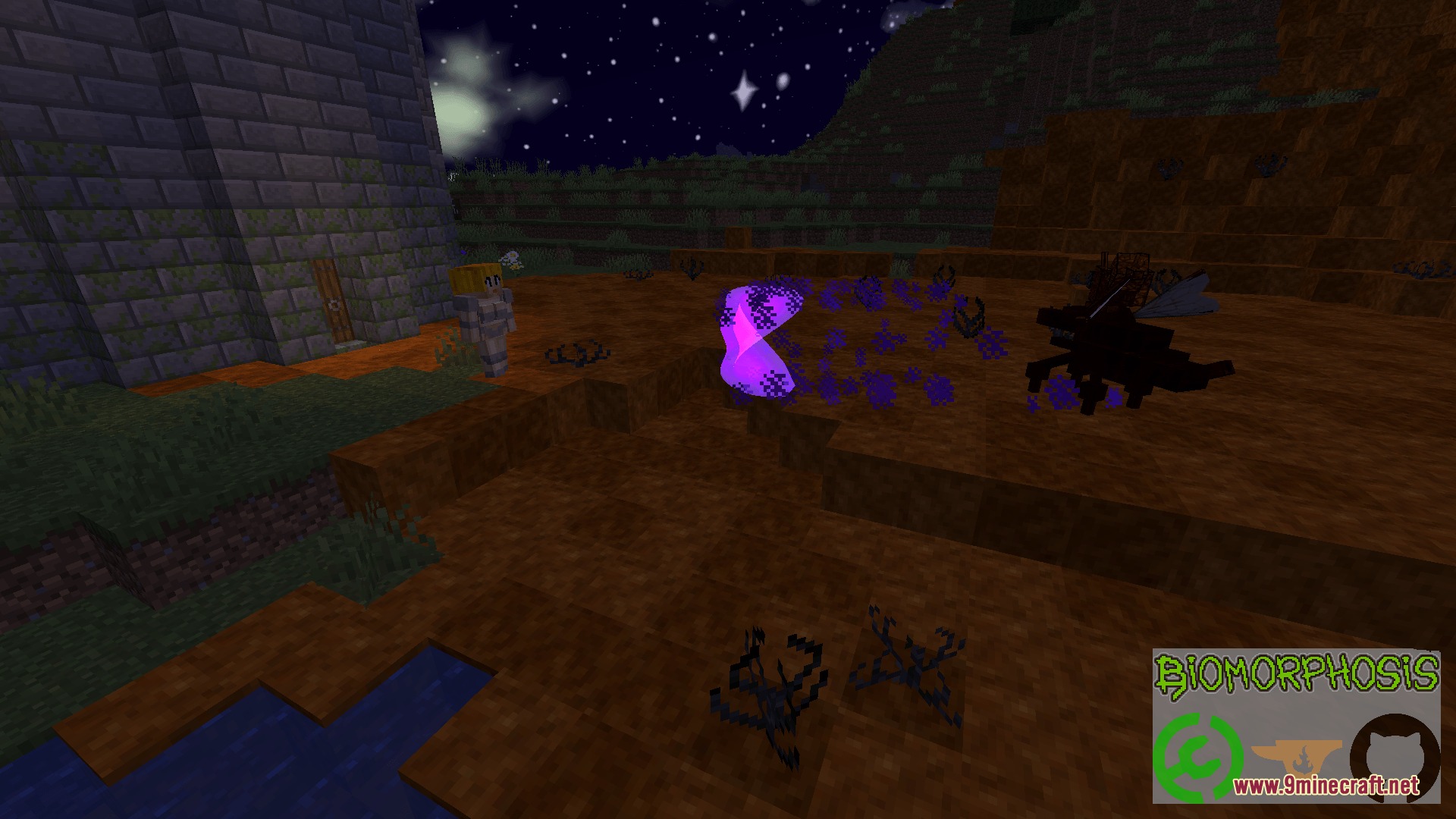 A player encounters a purple glowing essence from the Biomorphosis mod at night