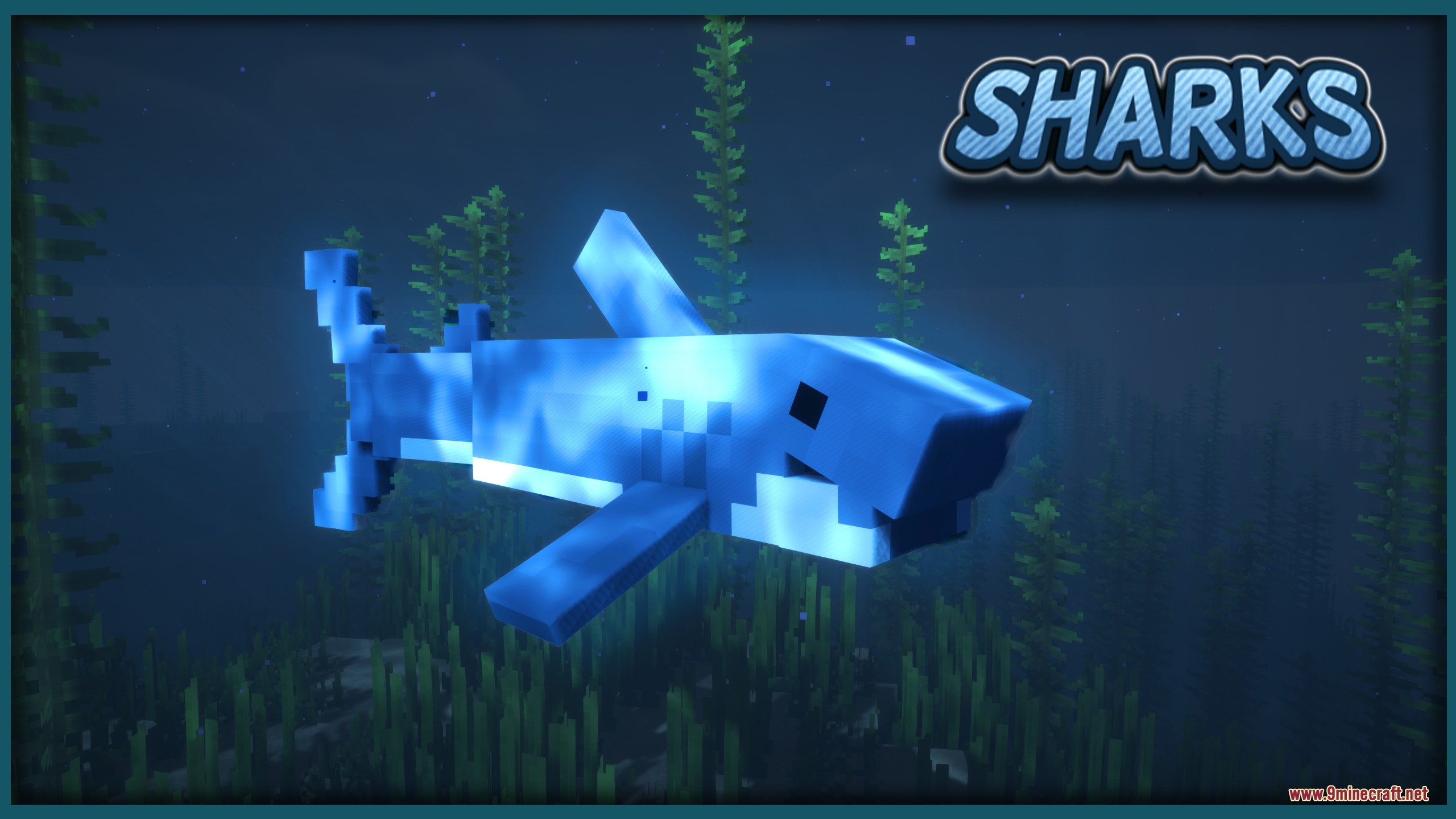 A large blue shark swims through the deep ocean near seagrass