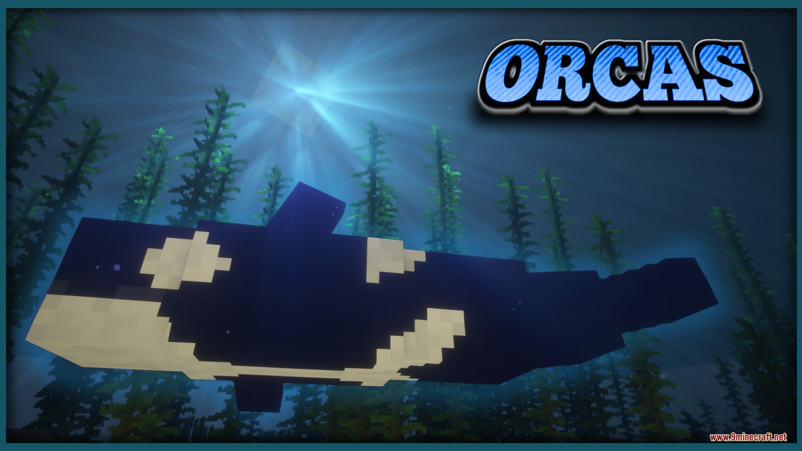 A large orca whale swimming through a sunlit underwater kelp forest