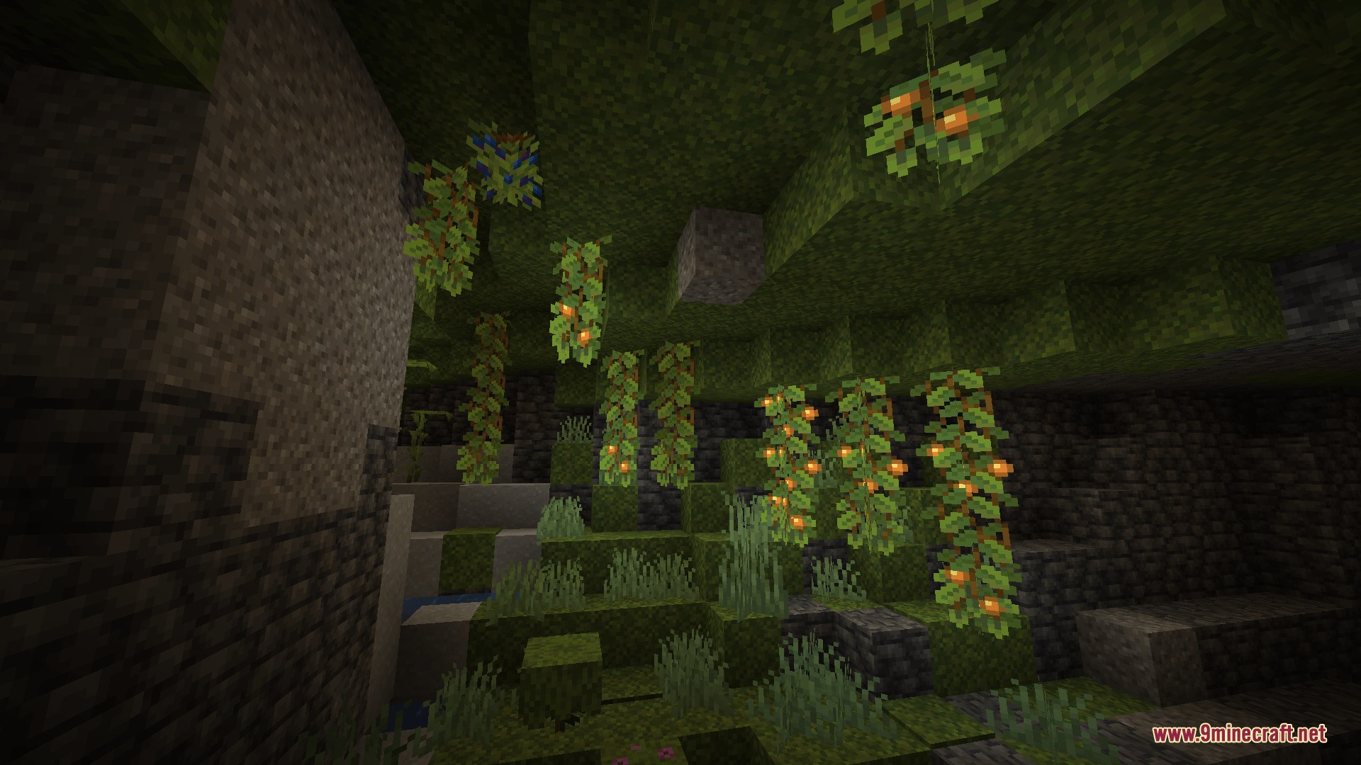 Blue Hearts Mod Screenshot 3 Vital bushes with orange fruit hanging from the ceiling of a lush cave