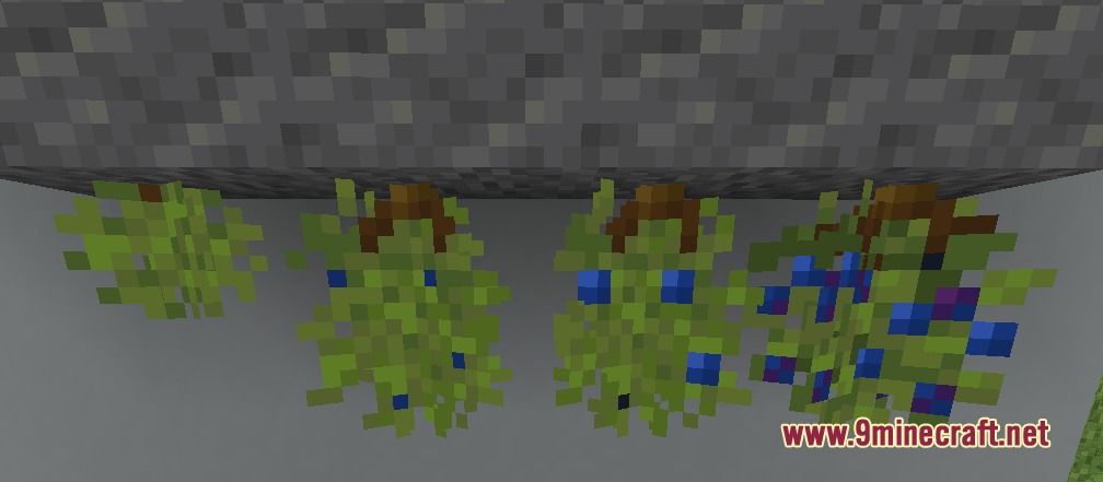 Blue Hearts Mod Screenshot 5 Different growth stages of Vital Bushes hanging from a stone ceiling
