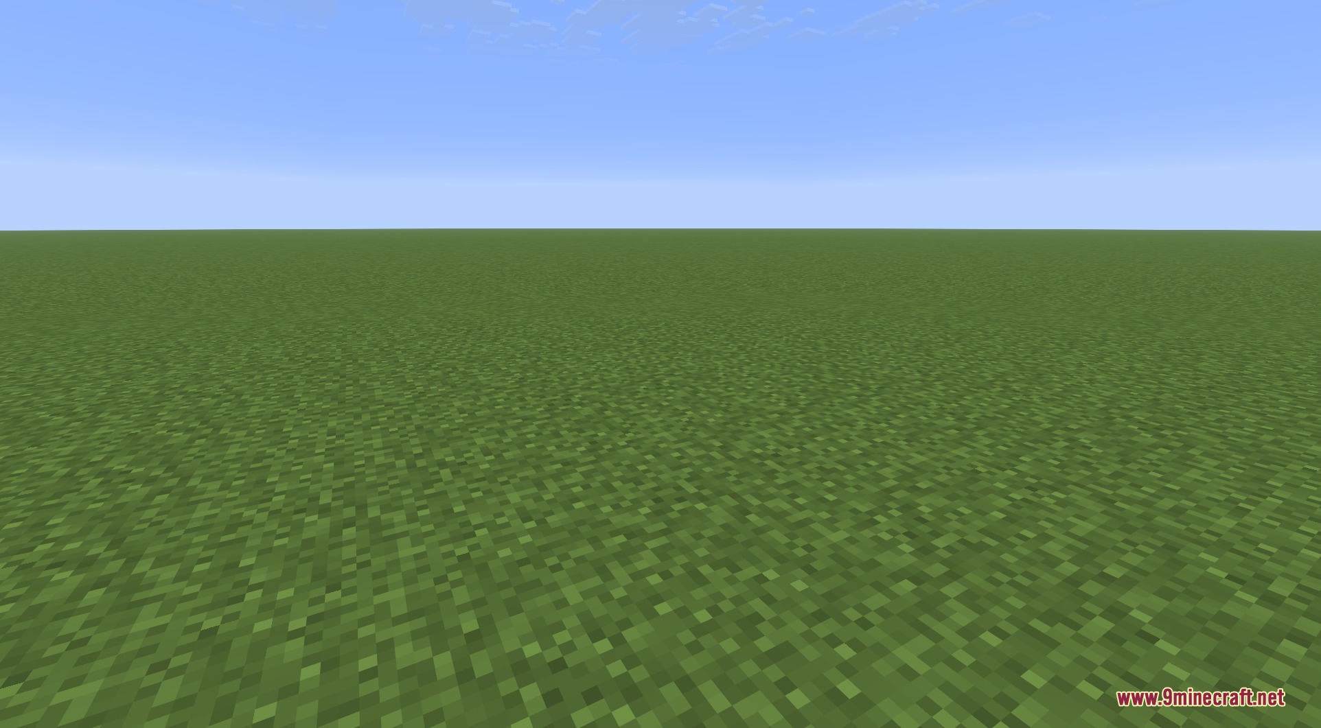 A vast green grass field stretching towards the horizon in Minecraft