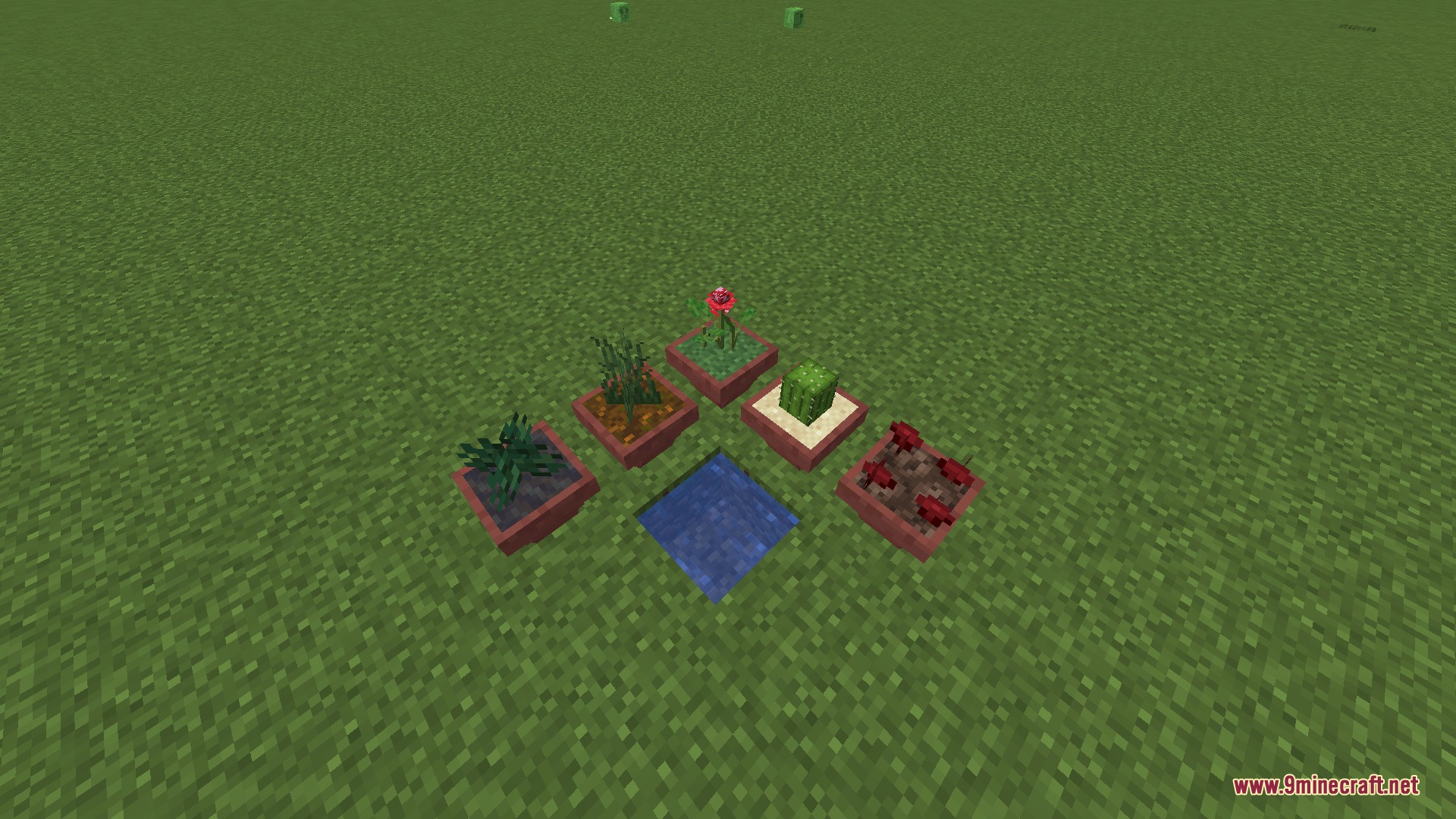 Various plants growing in special plant pots on a grassy field in Minecraft