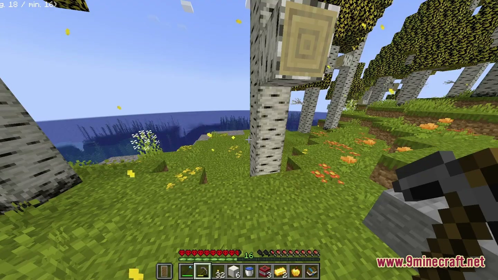 Boundless Tale Odyssey Modpack Screenshot 1 A first-person view of a birch forest biome overlooking a body of water with falling leaves