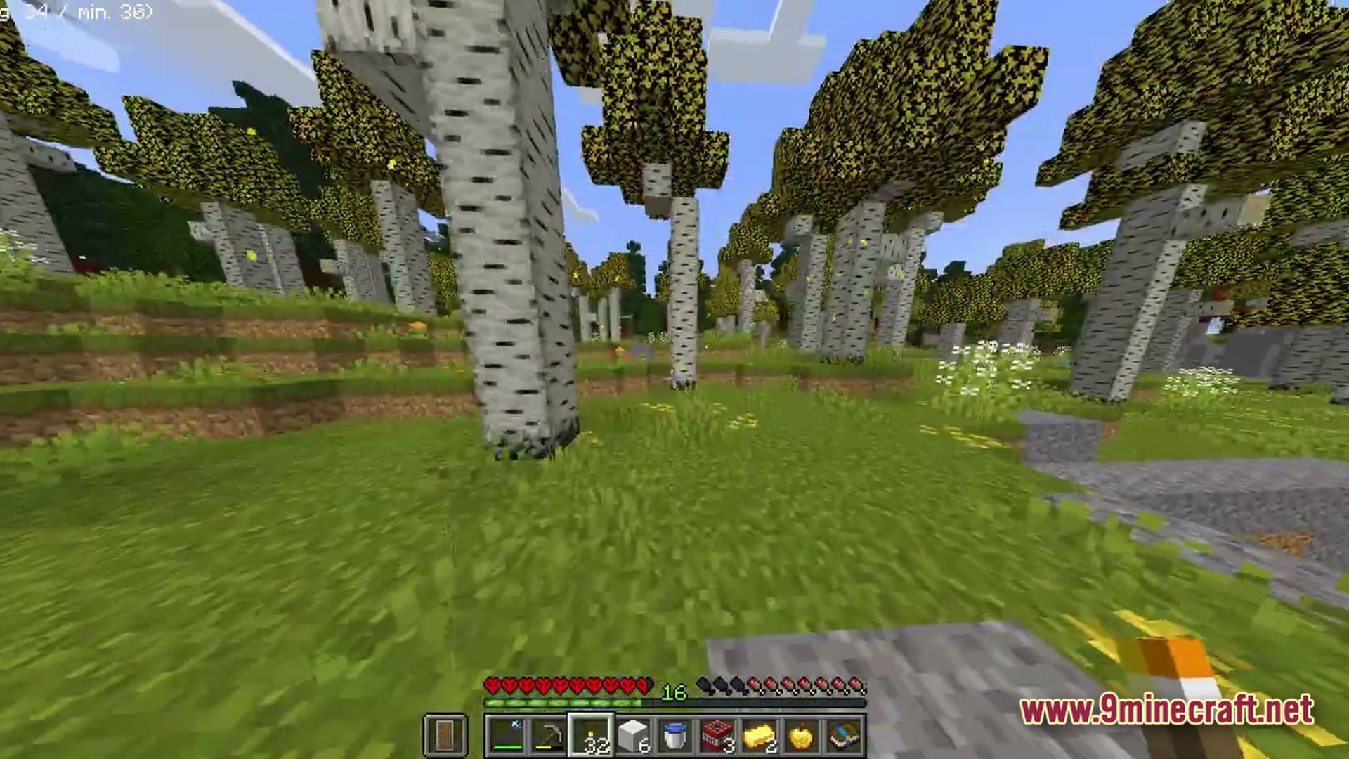 Boundless Tale Odyssey Modpack Screenshot 3 A player explores a birch forest biome with yellow leaves while holding a torch