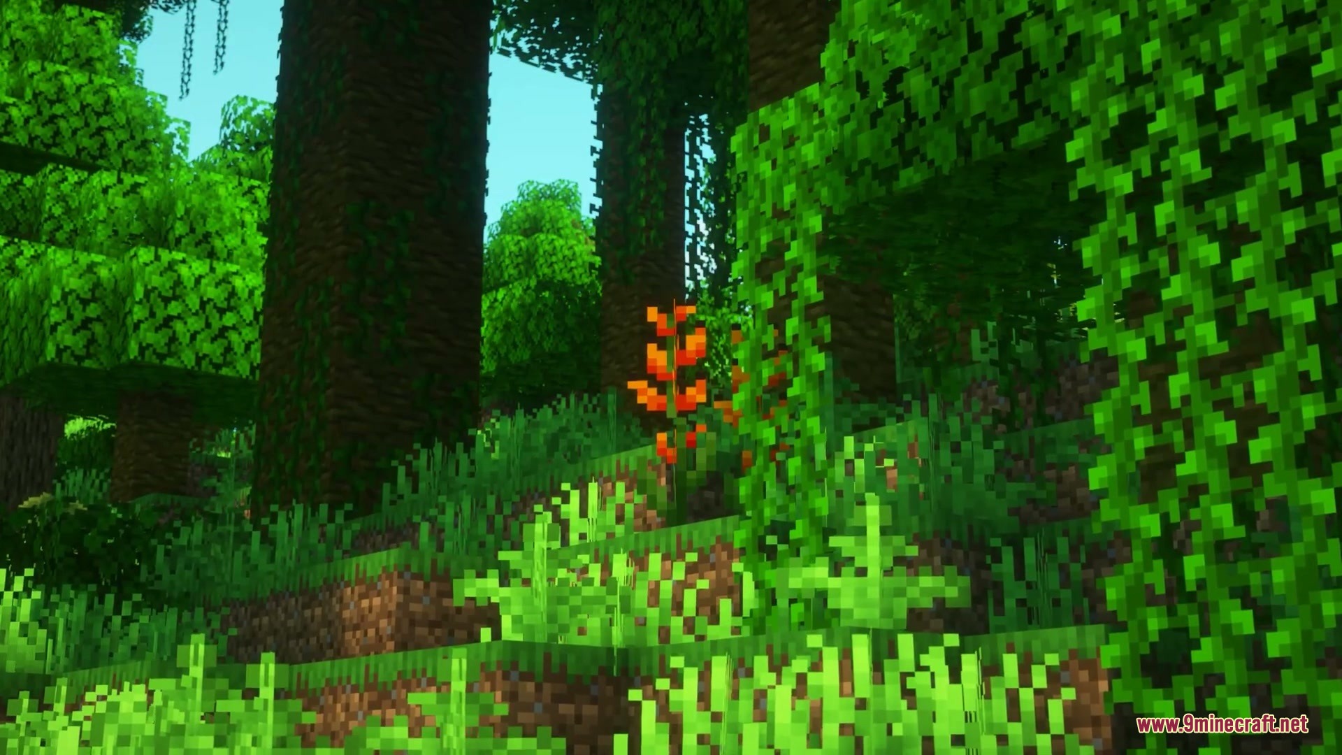 Brazilian Expansion Mod Screenshot 3 Vibrant orange flowers blooming in a dense tropical jungle with tall trees