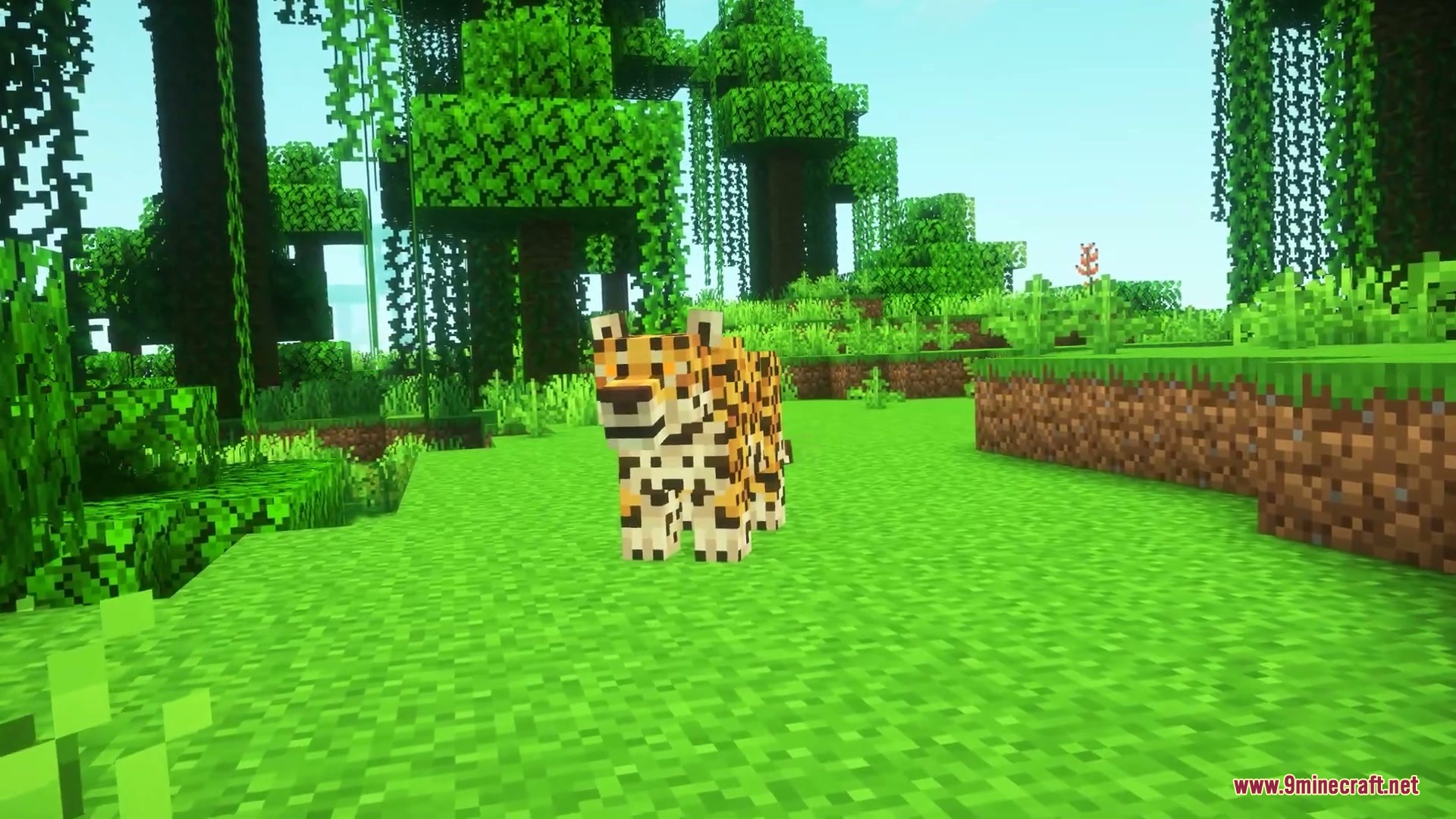 Brazilian Expansion Mod Screenshot 5 A spotted jaguar stands in a lush tropical jungle within the Minecraft world