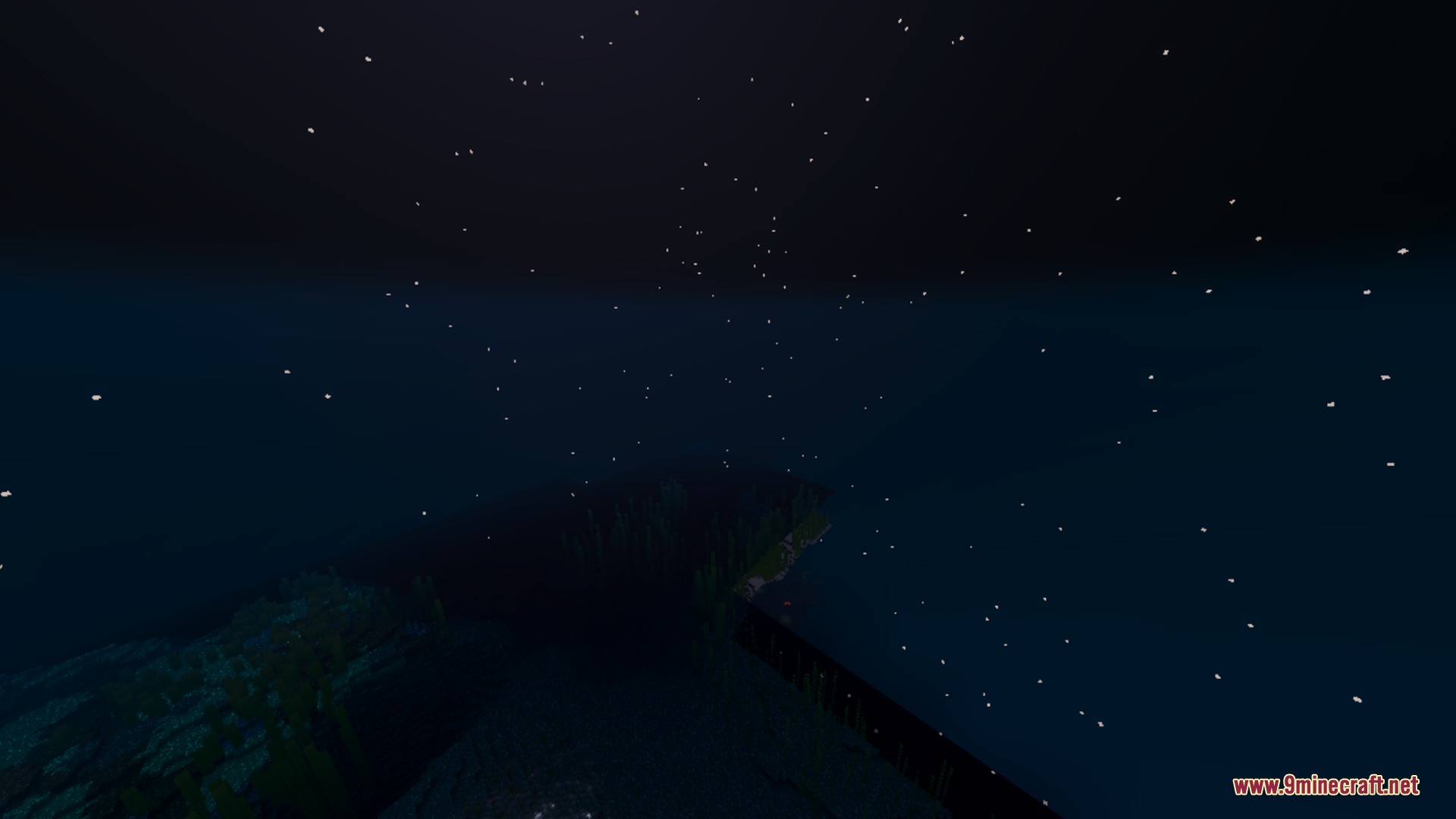 Breeze Visuals Shader Screenshot 3 A dark night sky filled with stars over a deep ocean with kelp