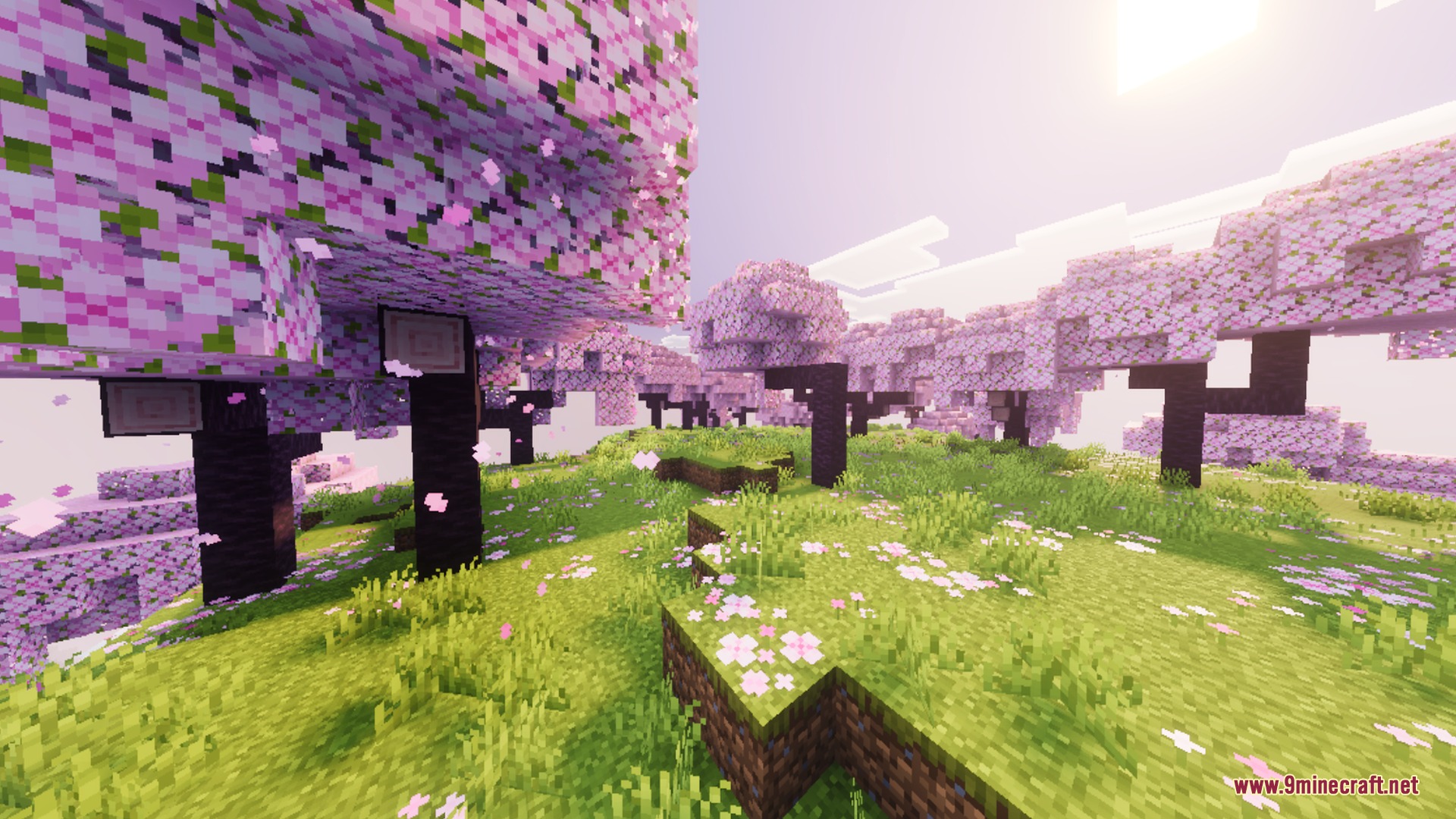 Breeze Visuals Shader Screenshot 6 Sunlight shines through pink cherry blossom trees in a lush green biome