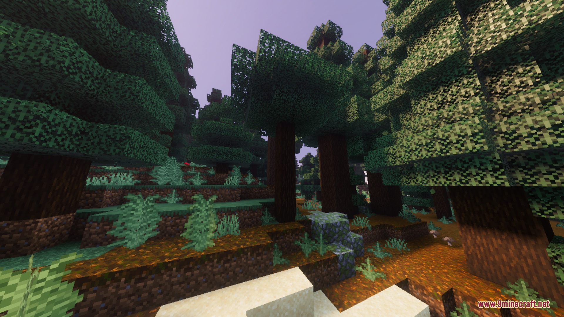 Breeze Visuals Shader Screenshot 8 Tall spruce trees and mossy ground in a dense forest biome